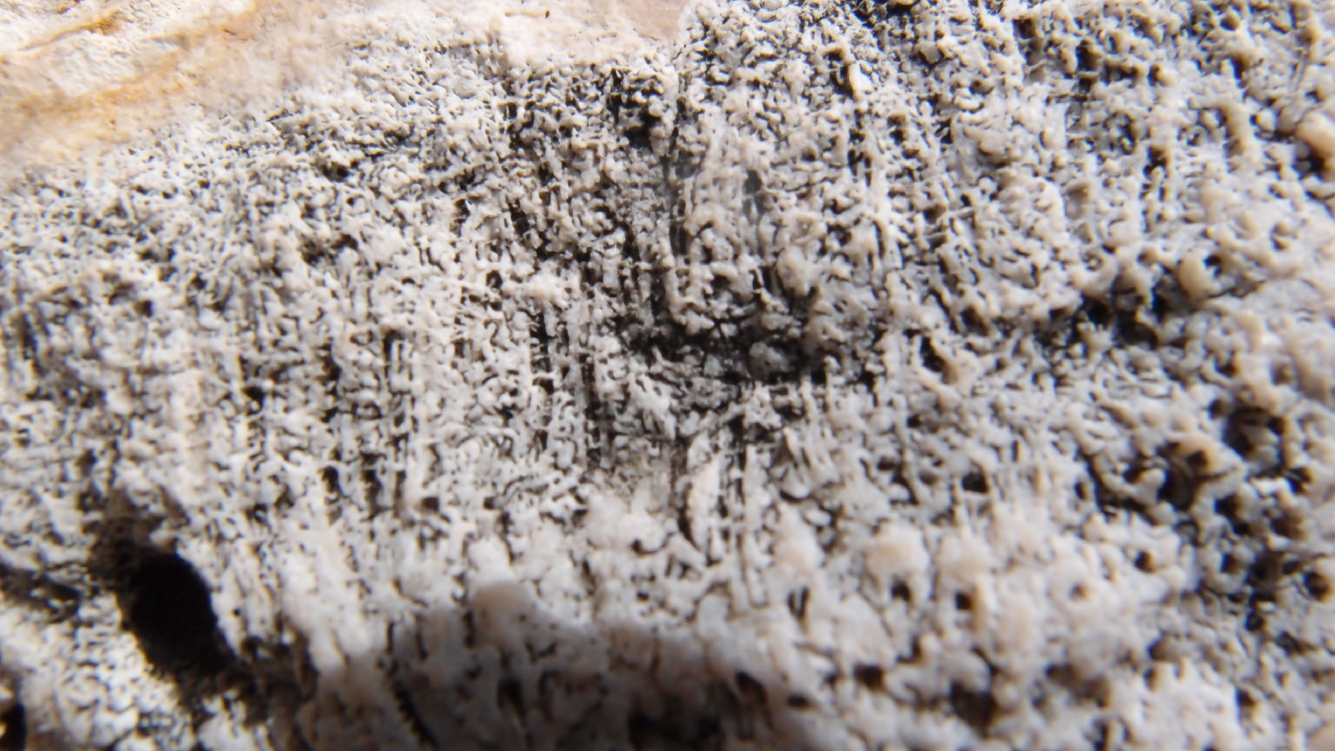 2022-04-17 Wind auf dem Meer (Audio, Foto, Video)