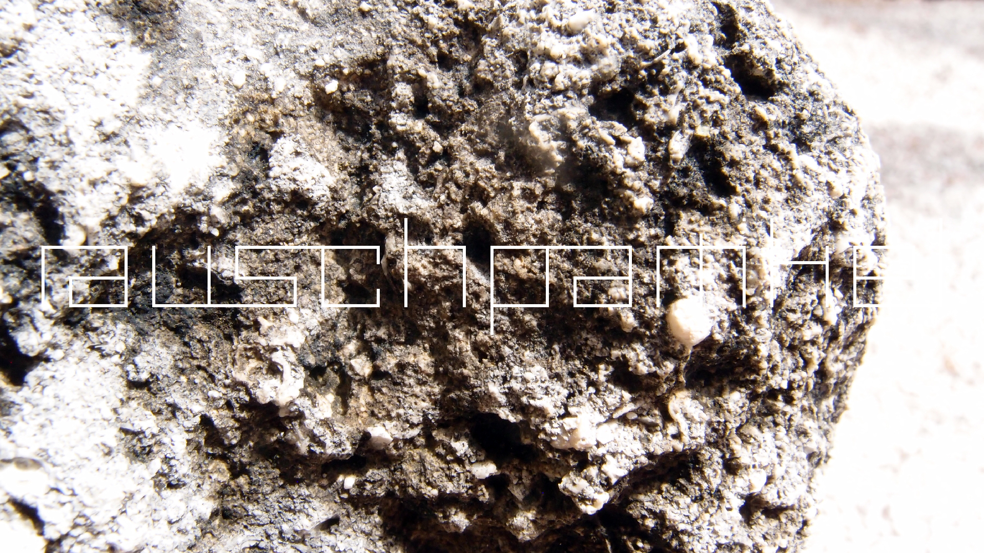 2022-04-17 Wind auf dem Meer (Audio, Foto, Video)