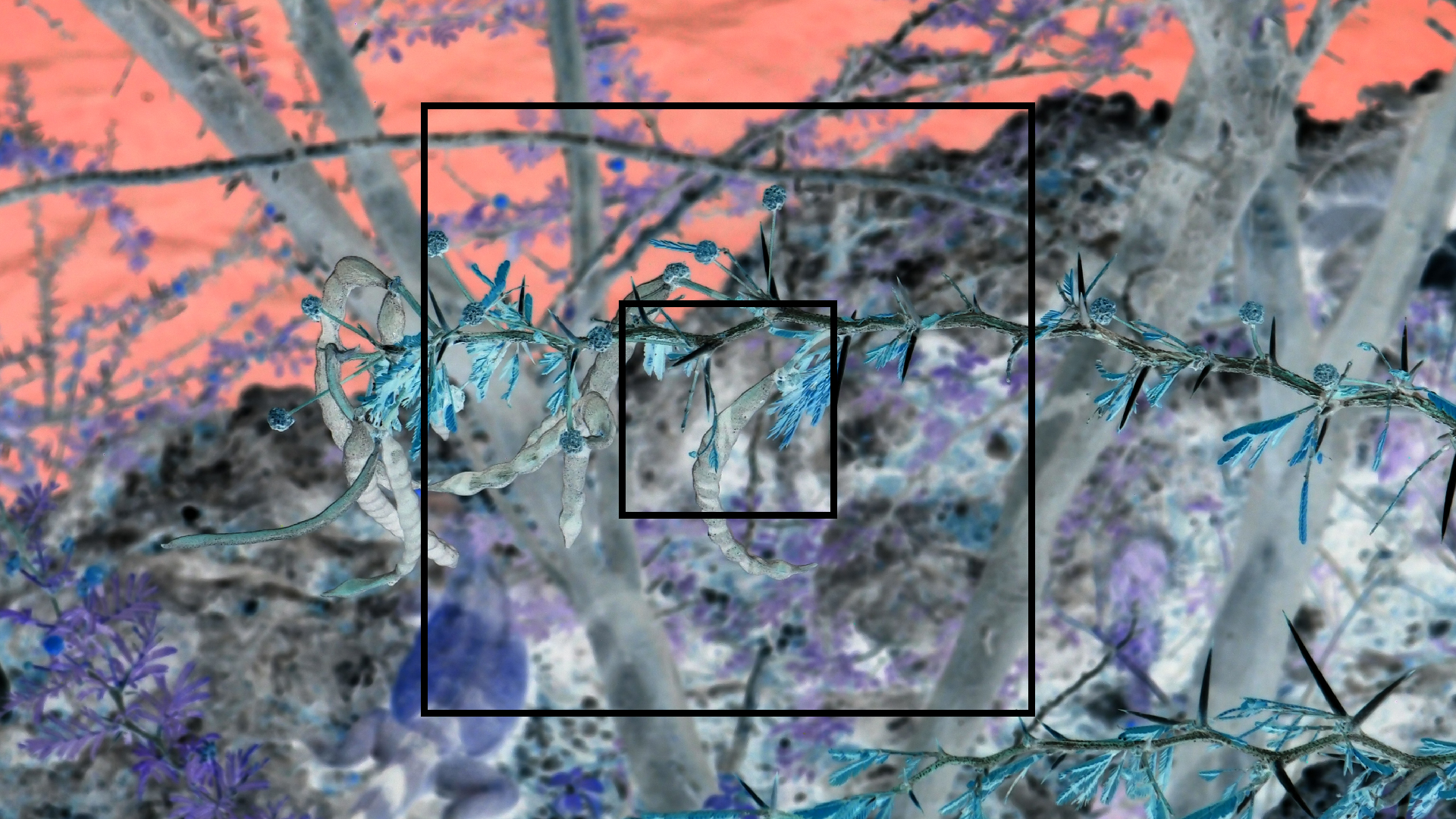 2022-04-17 Wind auf dem Meer (Audio, Foto, Video)