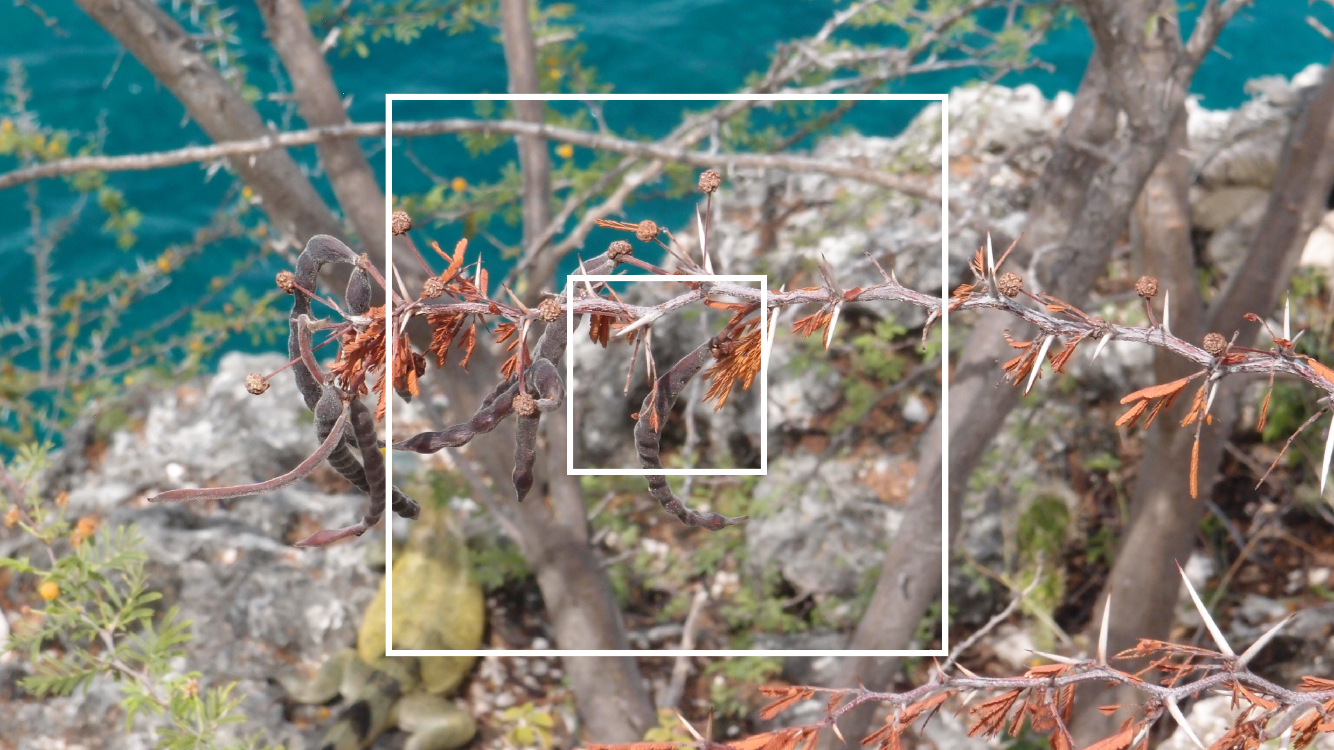 2022-04-17 Wind auf dem Meer (Audio, Foto, Video)