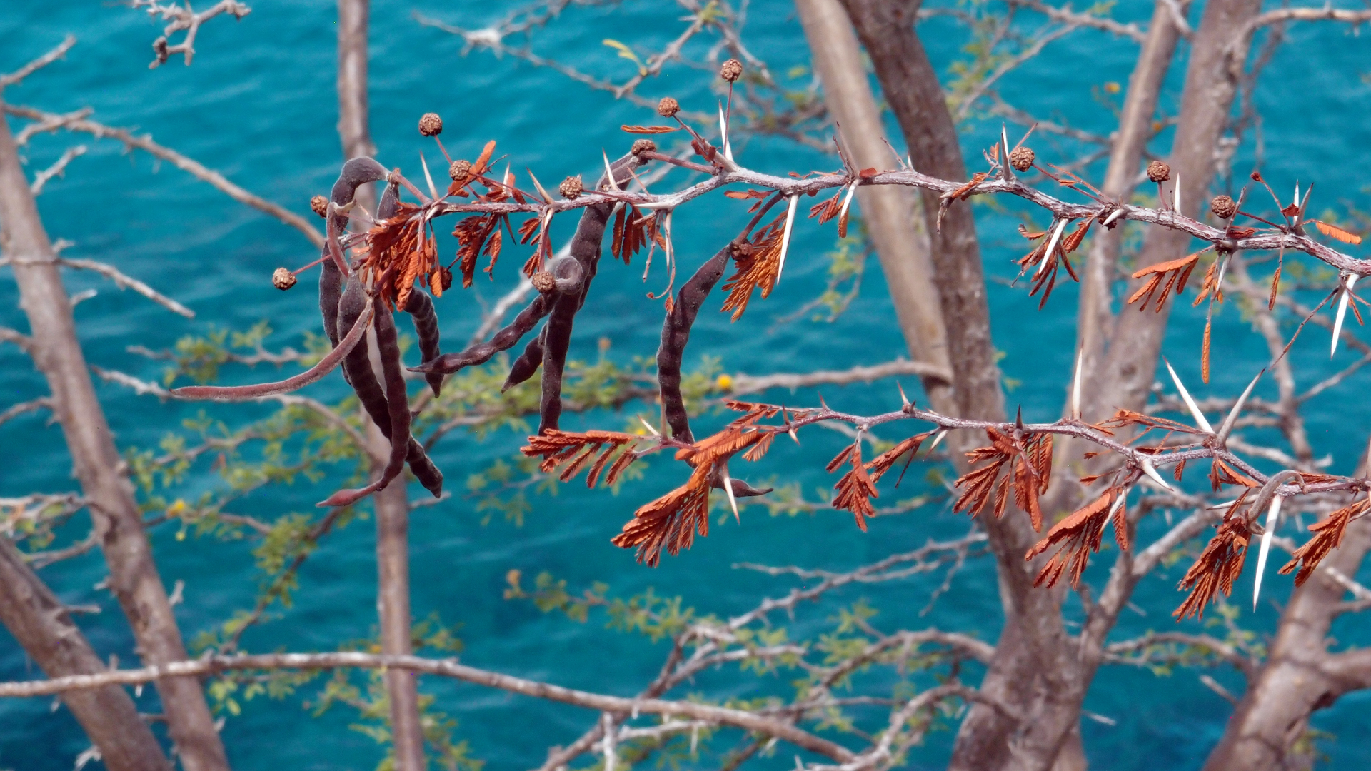 2022-04-17 Wind auf dem Meer (Audio, Foto, Video)