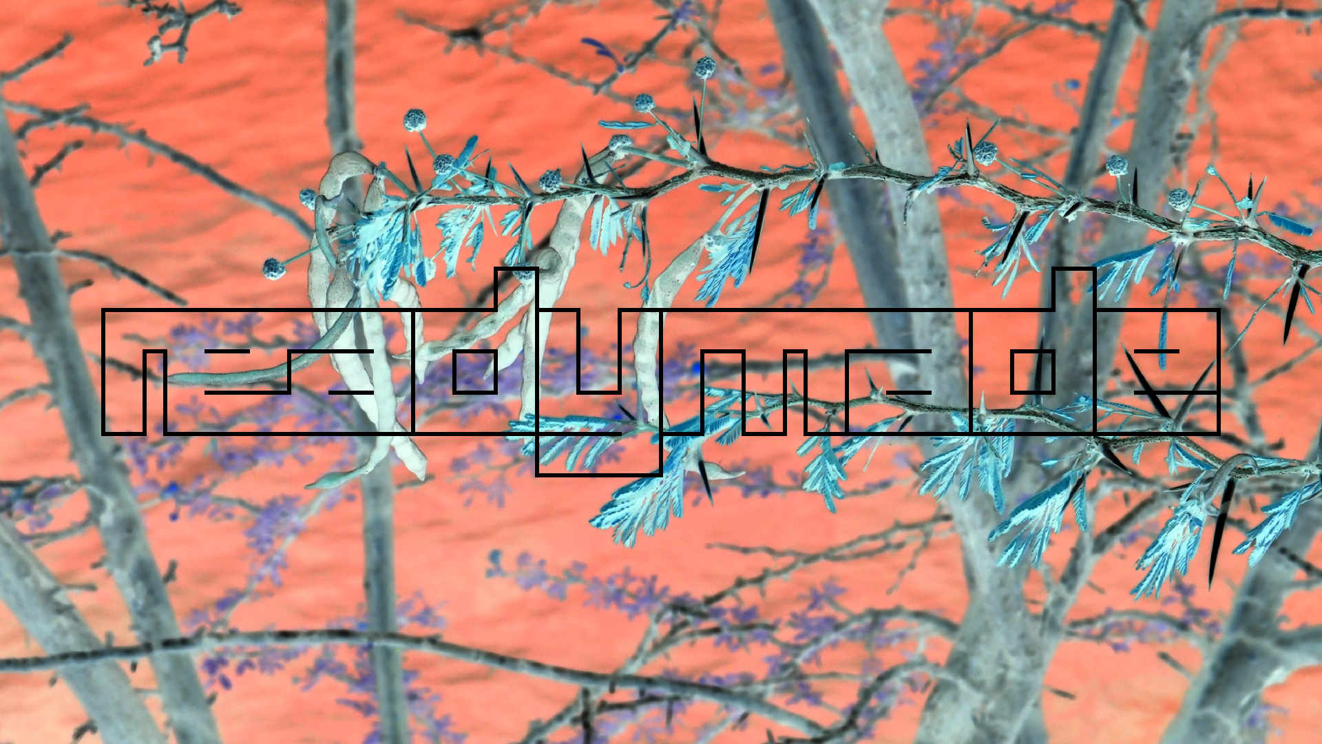 2022-04-17 Wind auf dem Meer (Audio, Foto, Video)