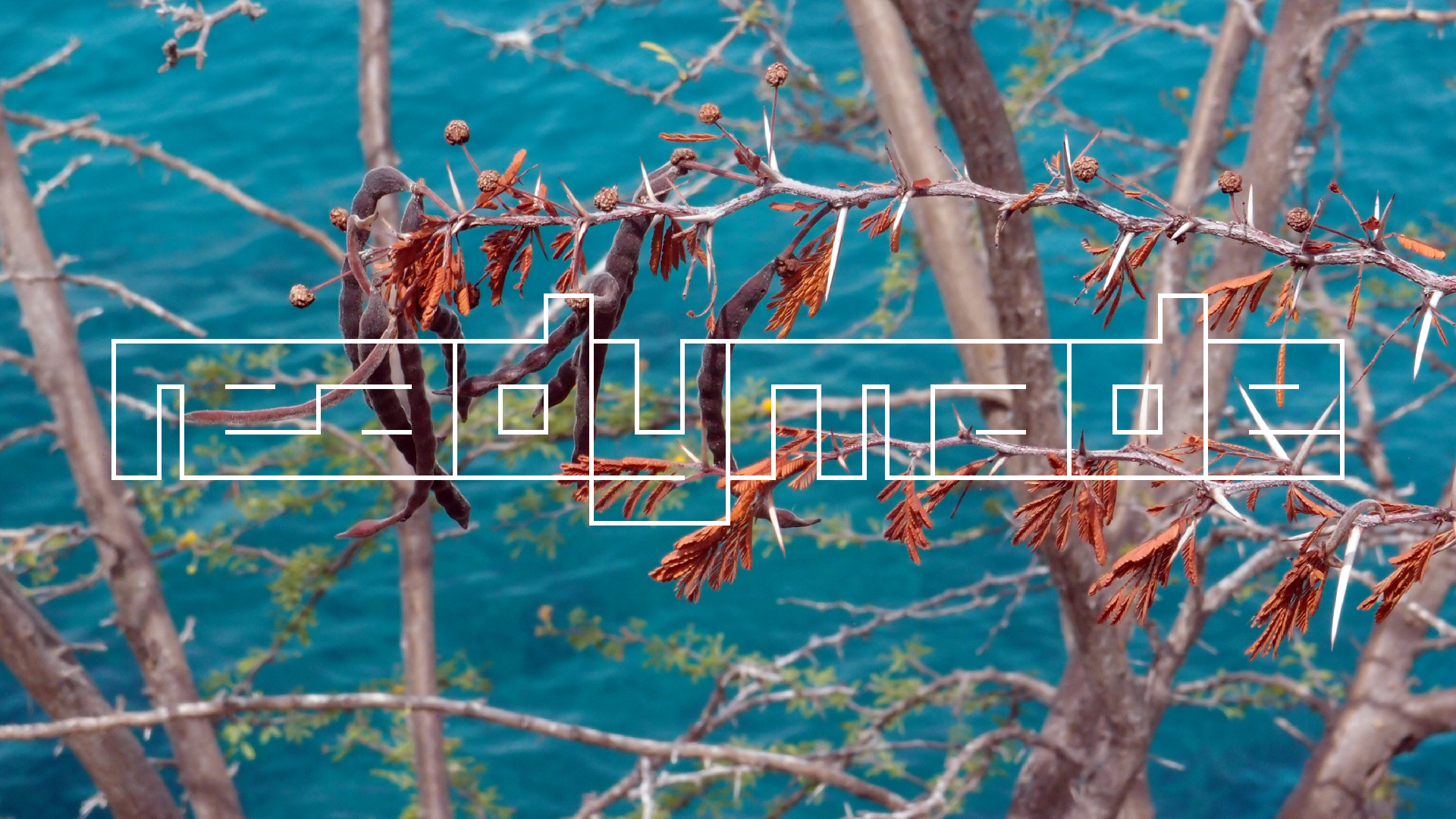 2022-04-17 Wind auf dem Meer (Audio, Foto, Video)