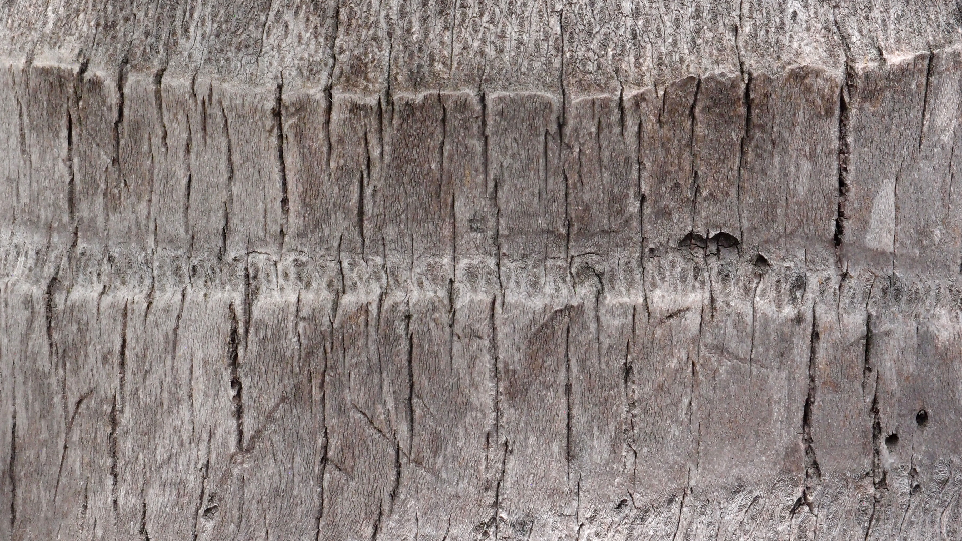 2022-04-17 Wind auf dem Meer (Audio, Foto, Video)