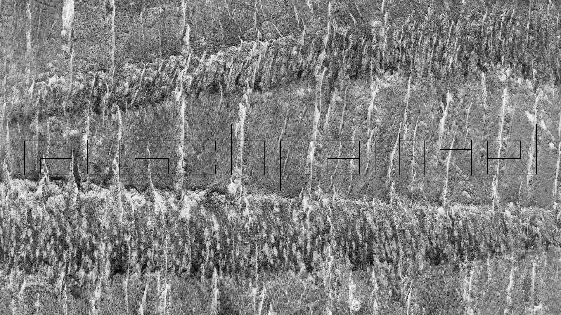 2022-04-17 Wind auf dem Meer (Audio, Foto, Video)