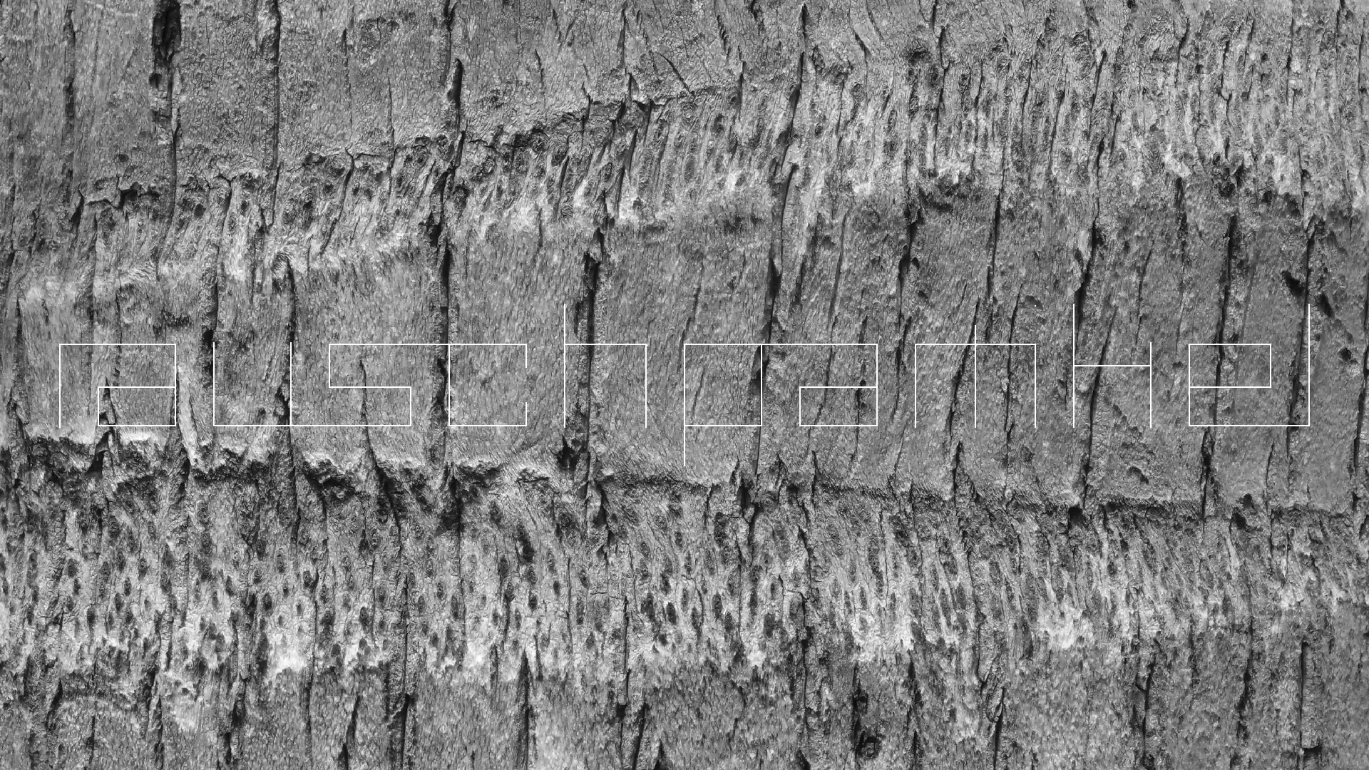 2022-04-17 Wind auf dem Meer (Audio, Foto, Video)