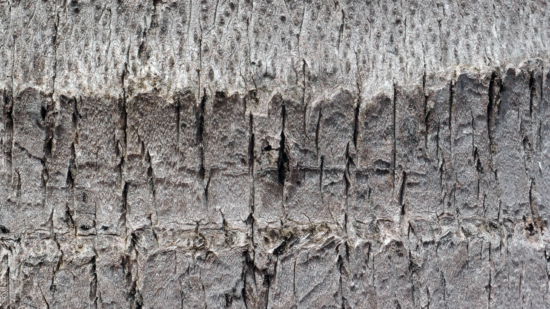 2022-04-17 Wind auf dem Meer (Audio, Foto, Video)