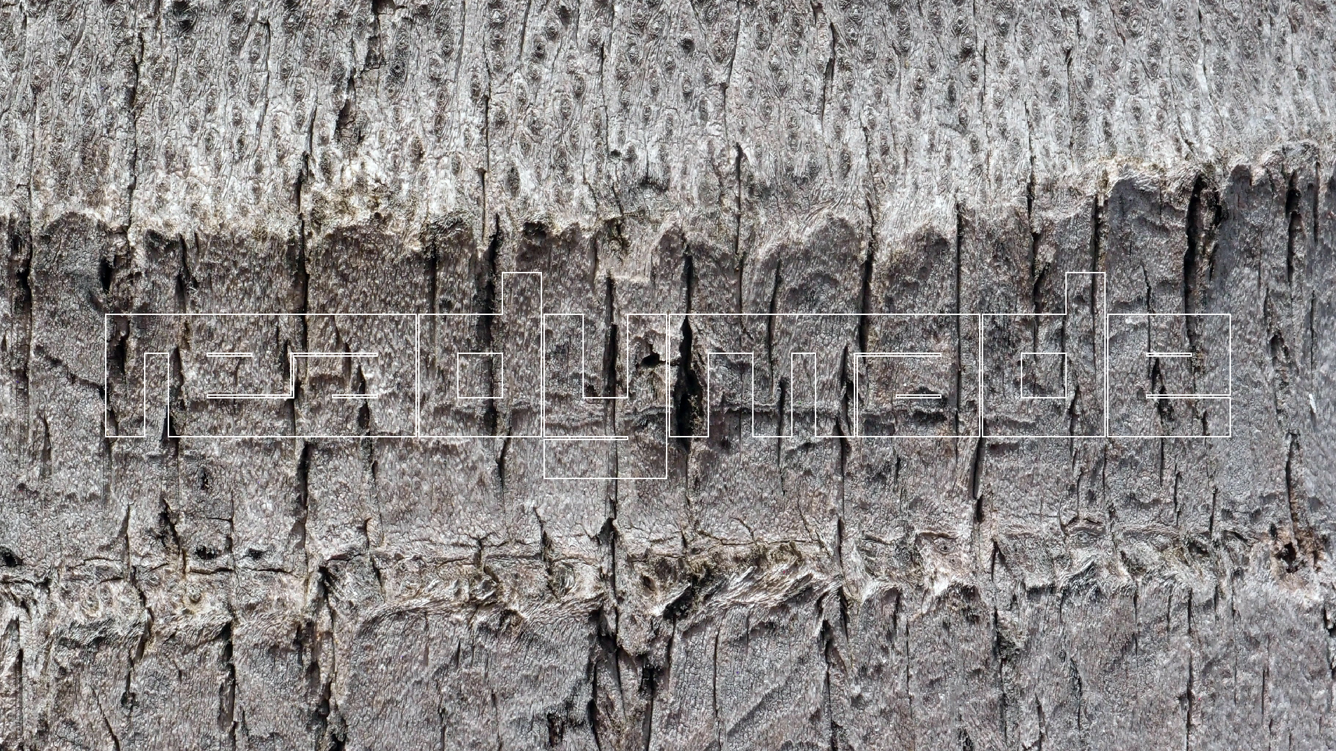 2022-04-17 Wind auf dem Meer (Audio, Foto, Video)