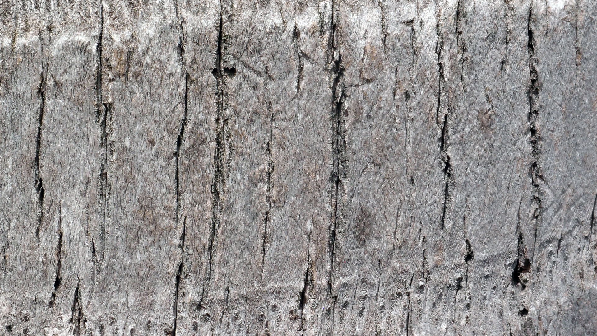 2022-04-17 Wind auf dem Meer (Audio, Foto, Video)