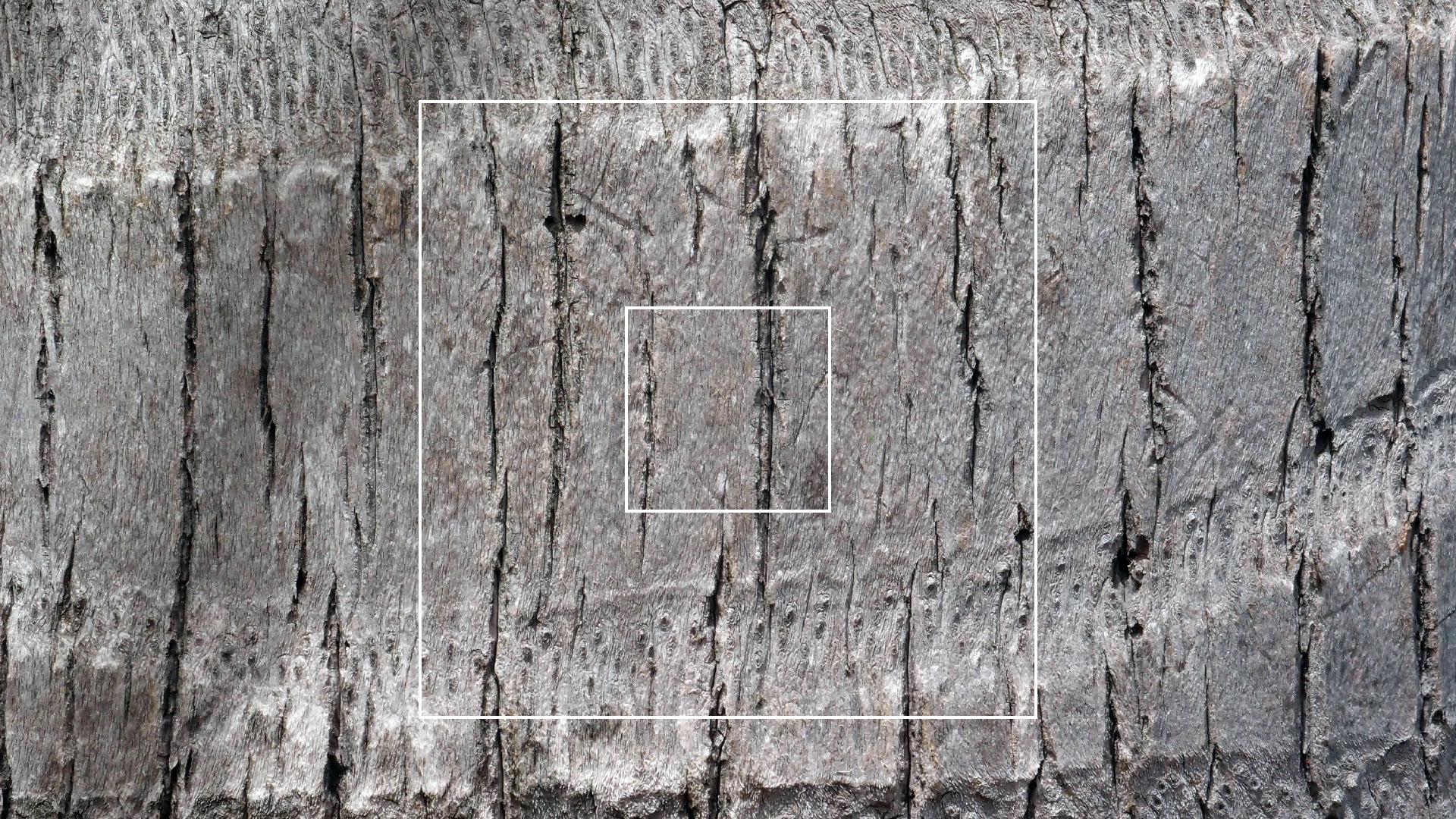 2022-04-17 Wind auf dem Meer (Audio, Foto, Video)