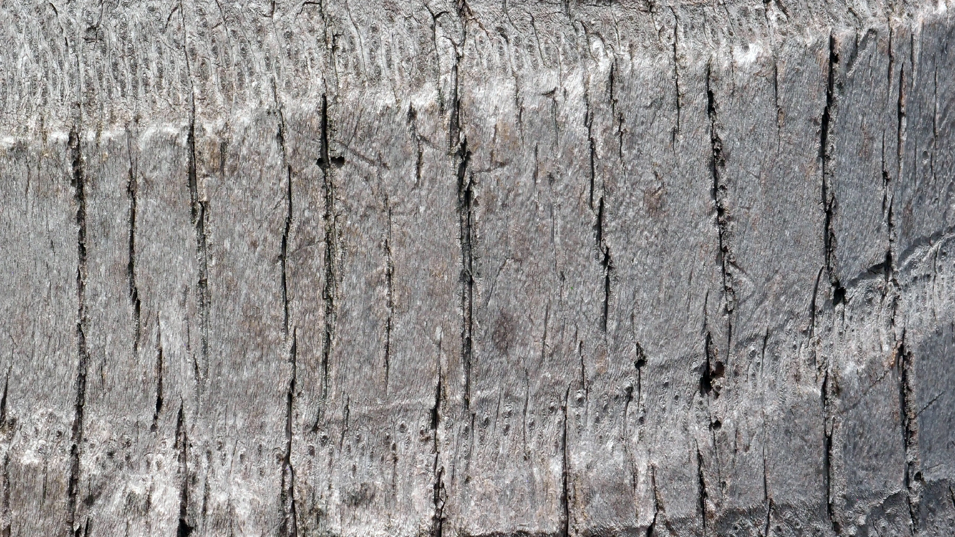 2022-04-17 Wind auf dem Meer (Audio, Foto, Video)