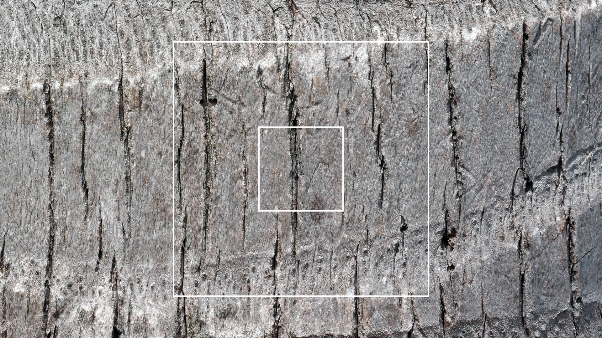 2022-04-17 Wind auf dem Meer (Audio, Foto, Video)