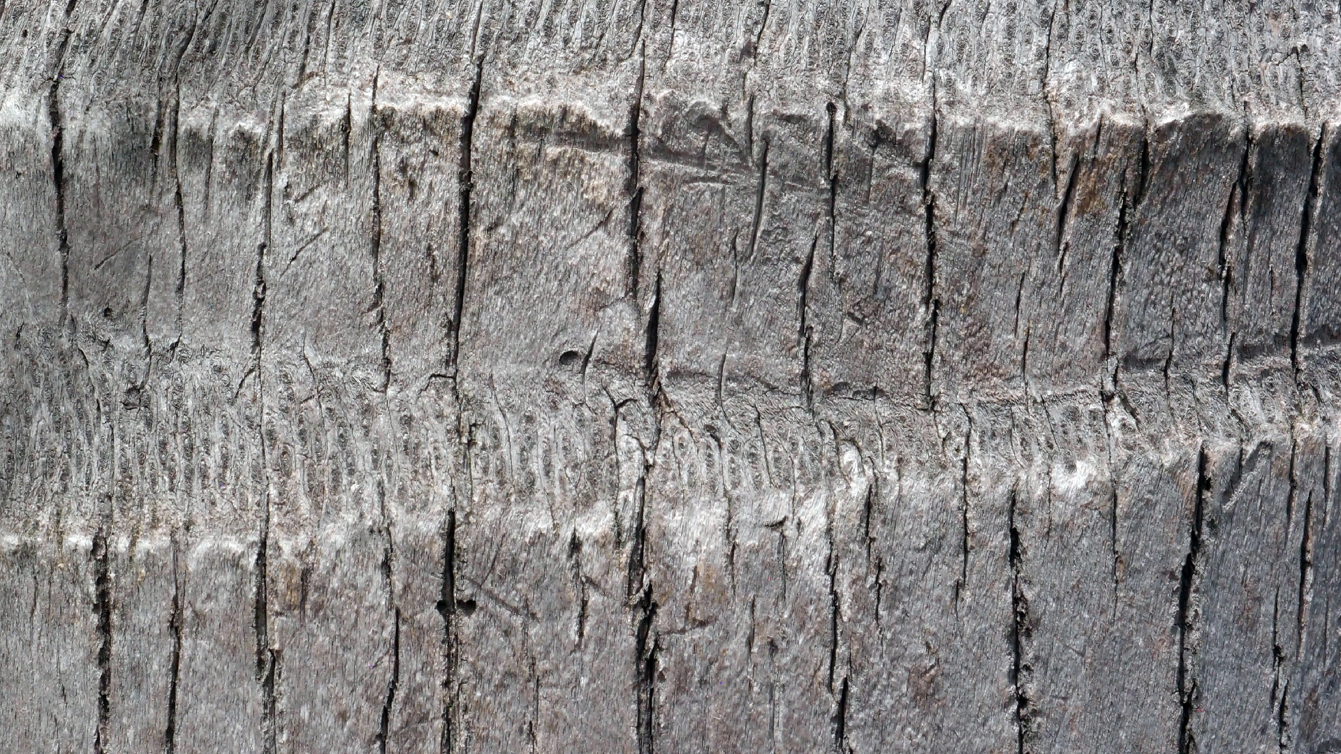 2022-04-17 Wind auf dem Meer (Audio, Foto, Video)