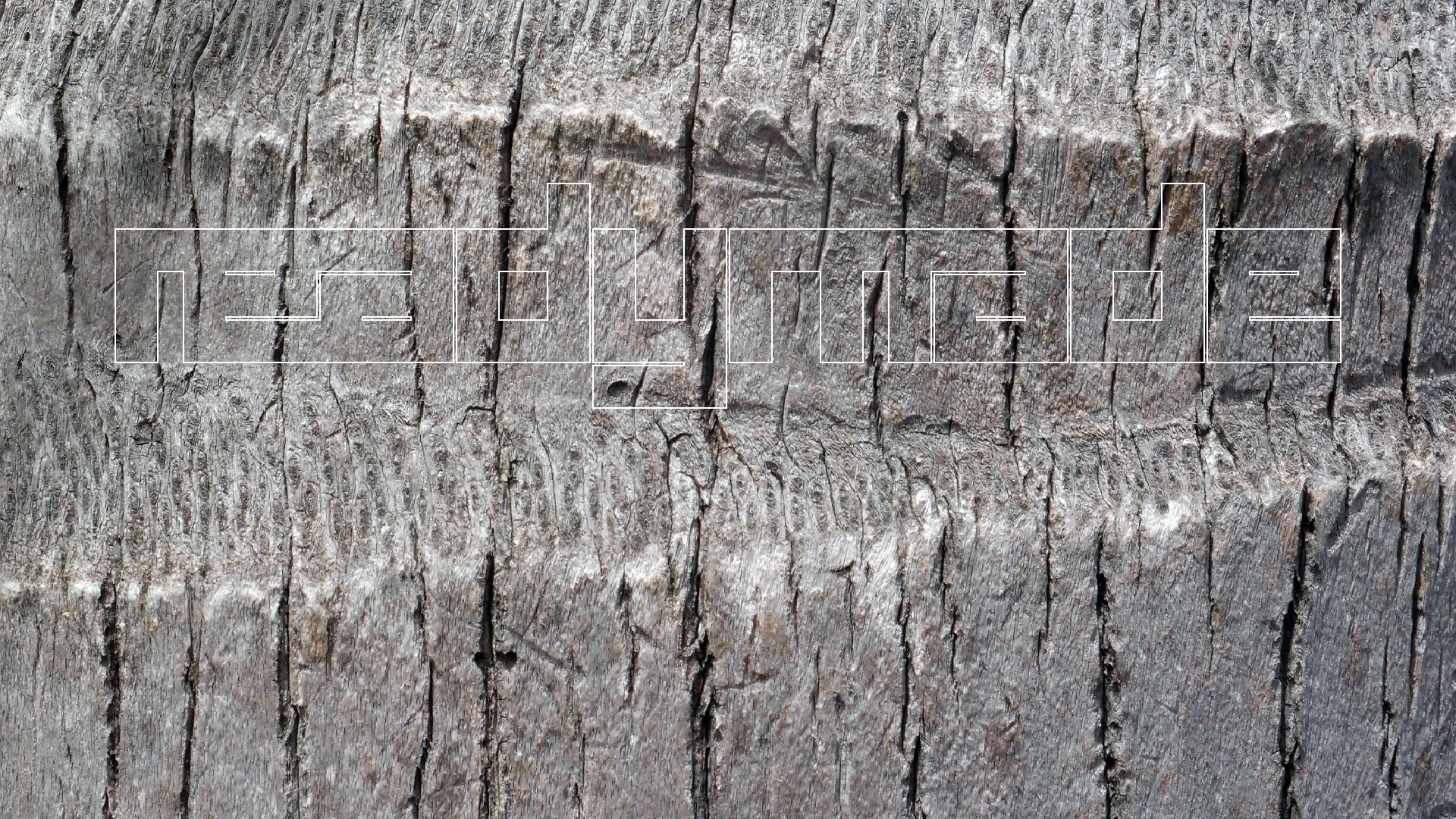 2022-04-17 Wind auf dem Meer (Audio, Foto, Video)