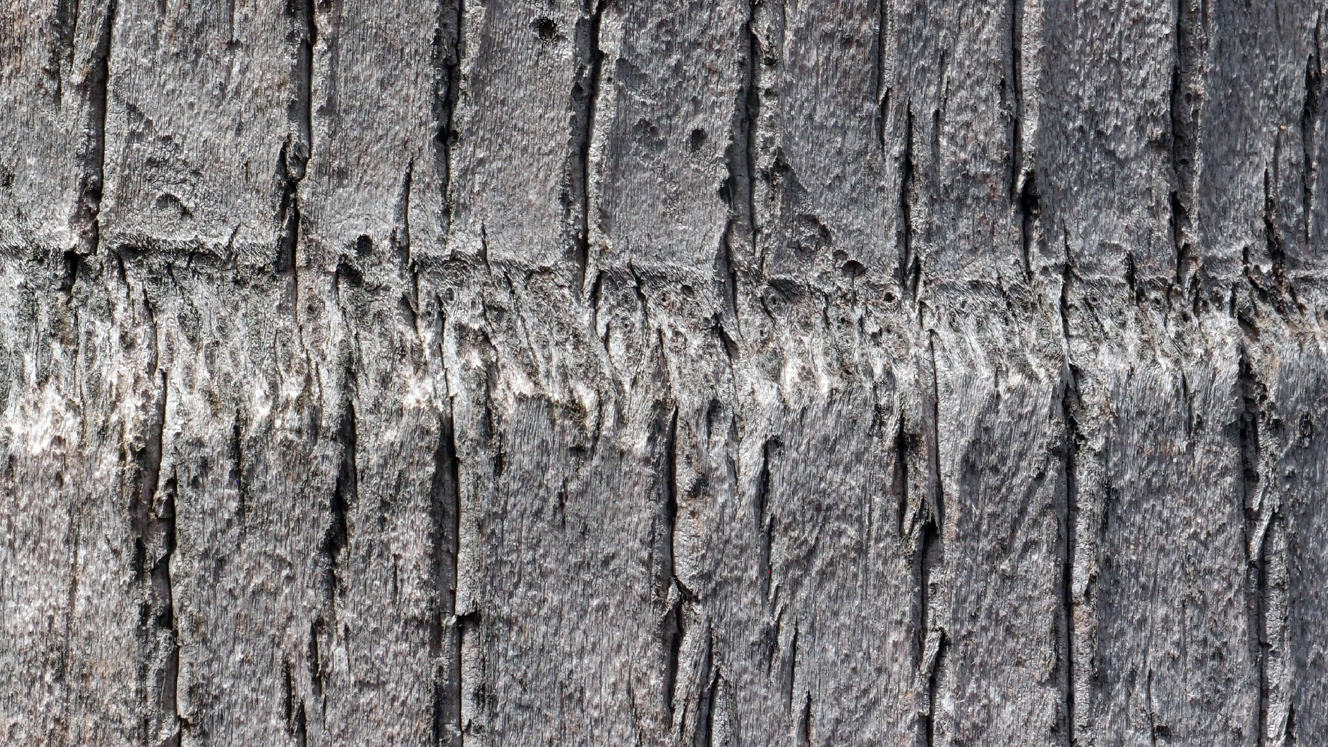 2022-04-17 Wind auf dem Meer (Audio, Foto, Video)