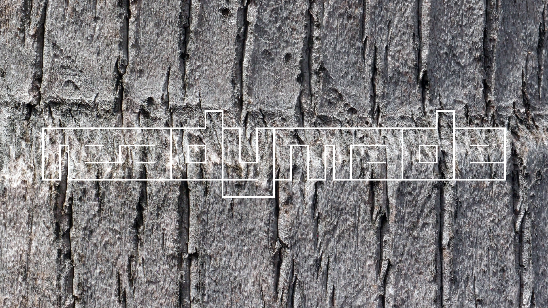 2022-04-17 Wind auf dem Meer (Audio, Foto, Video)