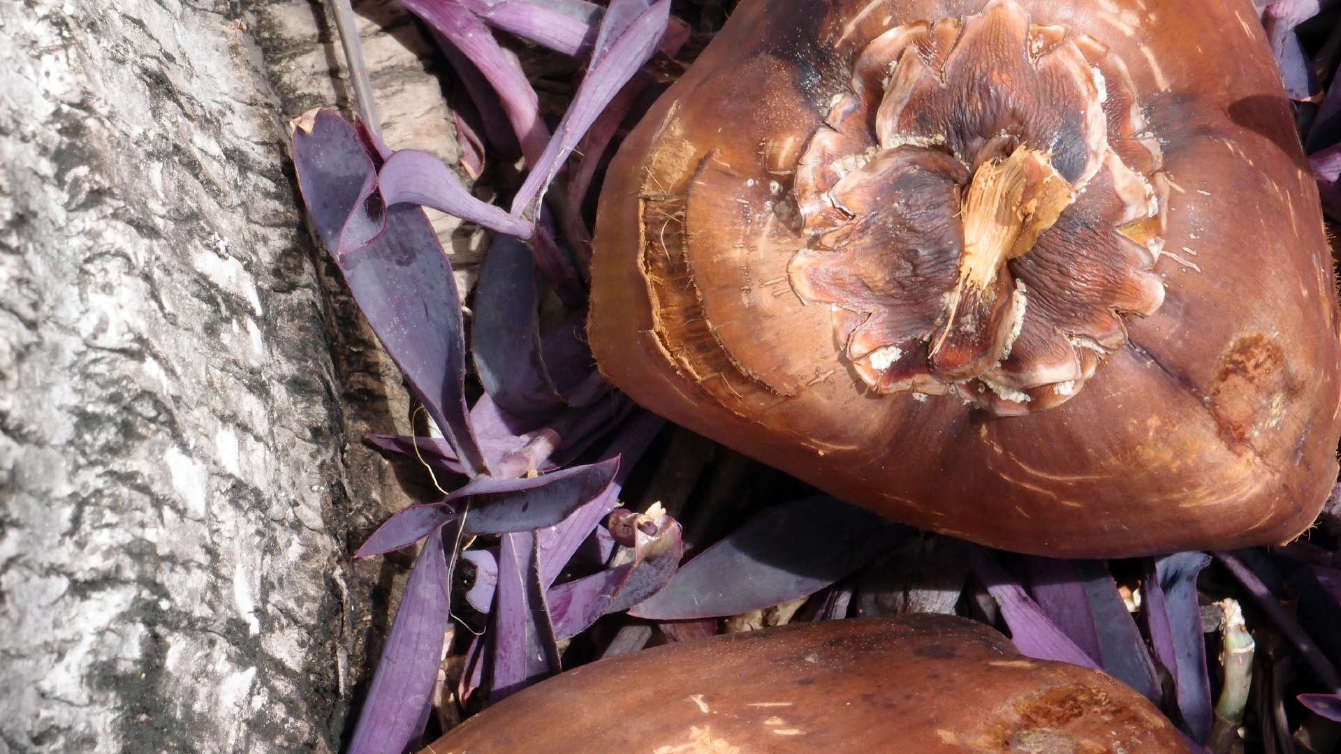 2022-04-17 Wind auf dem Meer (Audio, Foto, Video)