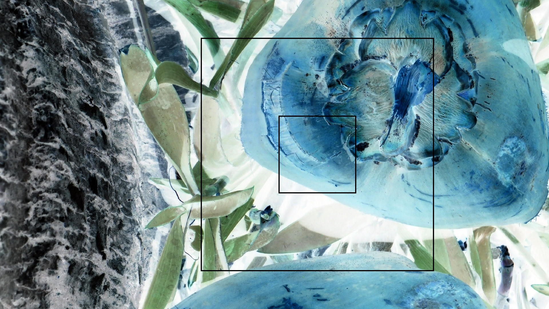 2022-04-17 Wind auf dem Meer (Audio, Foto, Video)