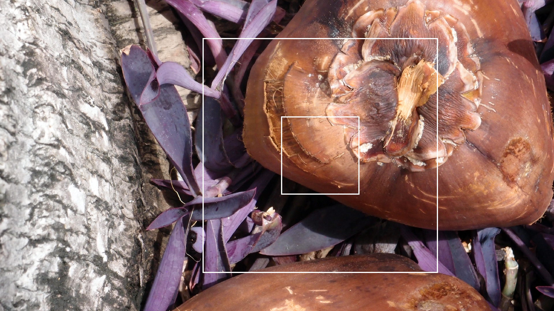 2022-04-17 Wind auf dem Meer (Audio, Foto, Video)