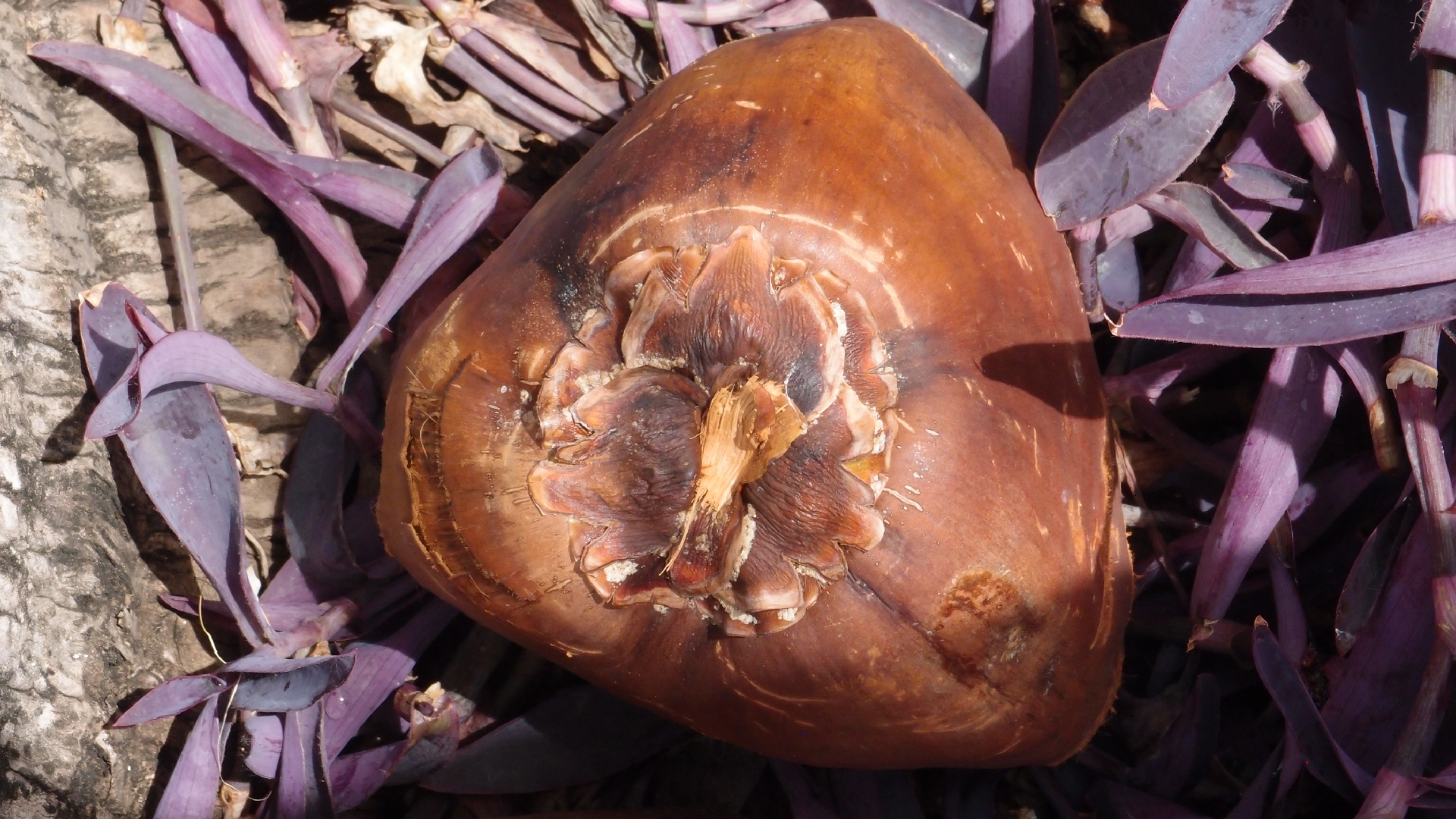 2022-04-17 Wind auf dem Meer (Audio, Foto, Video)