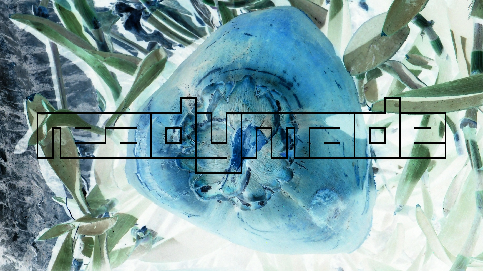 2022-04-17 Wind auf dem Meer (Audio, Foto, Video)