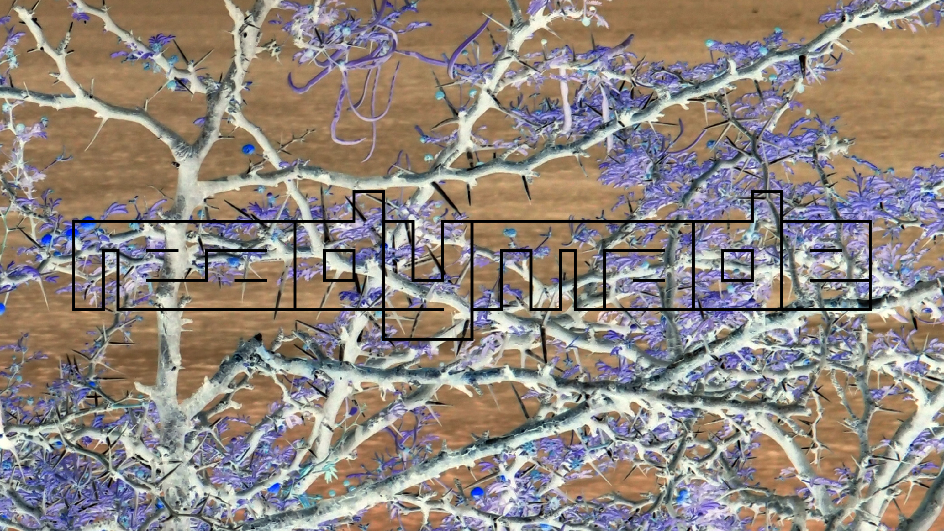 2022-04-17 Wind auf dem Meer (Audio, Foto, Video)