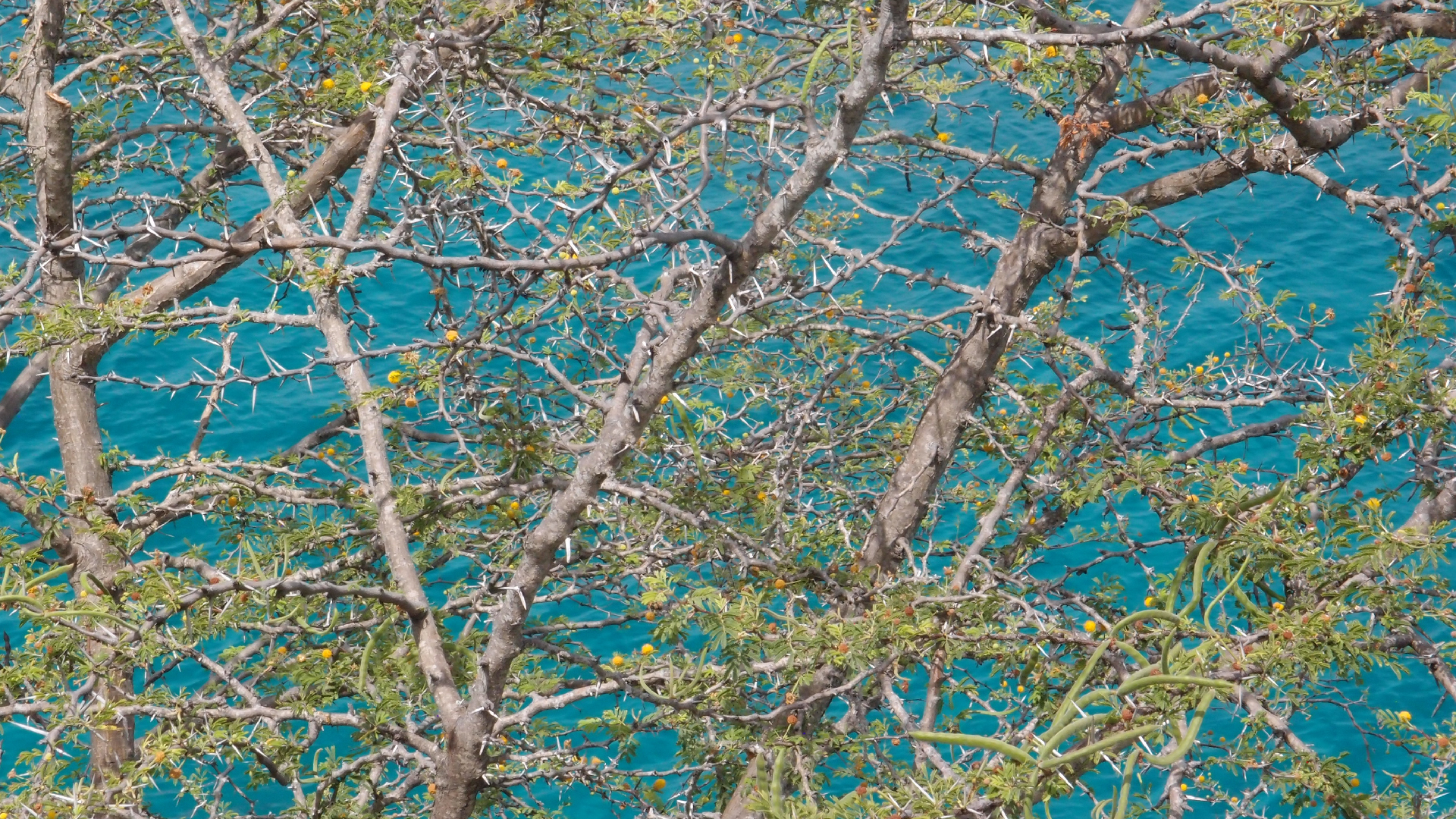 2022-04-17 Wind auf dem Meer (Audio, Foto, Video)