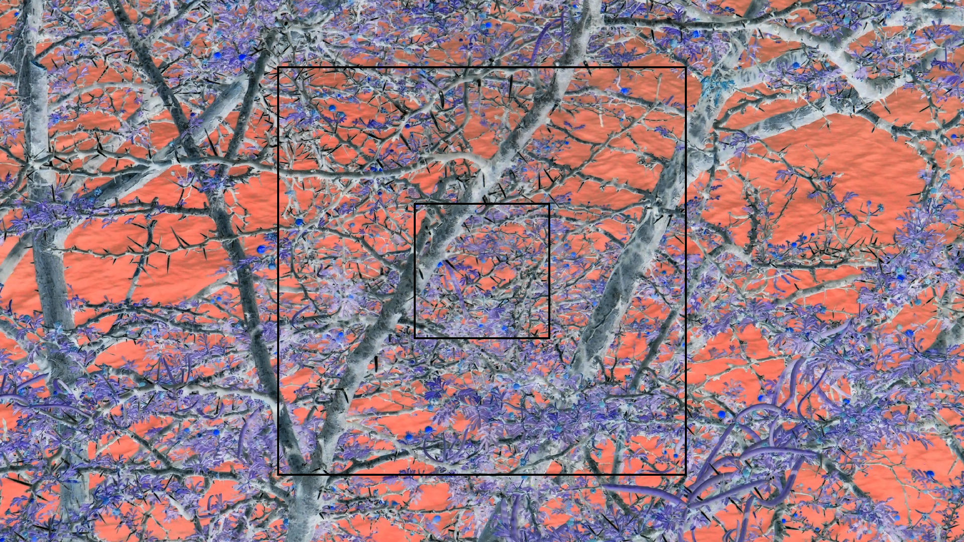 2022-04-17 Wind auf dem Meer (Audio, Foto, Video)