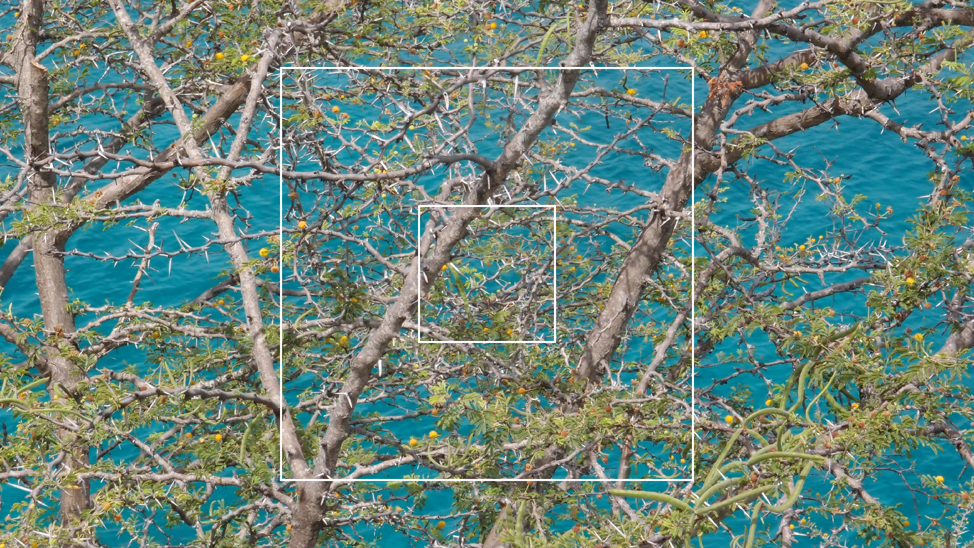 2022-04-17 Wind auf dem Meer (Audio, Foto, Video)