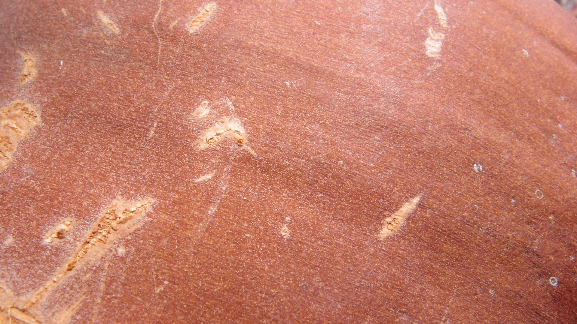 2022-04-17 Wind auf dem Meer (Audio, Foto, Video)