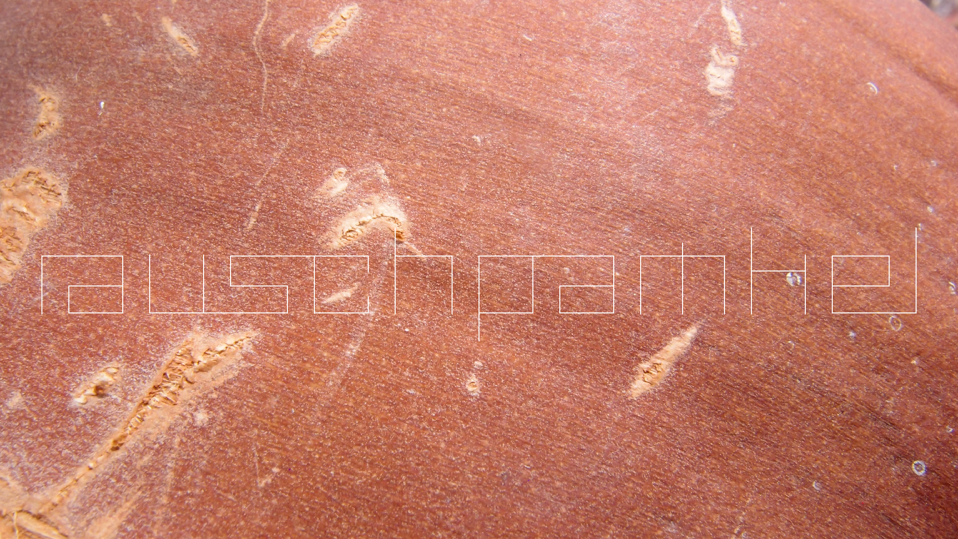 2022-04-17 Wind auf dem Meer (Audio, Foto, Video)