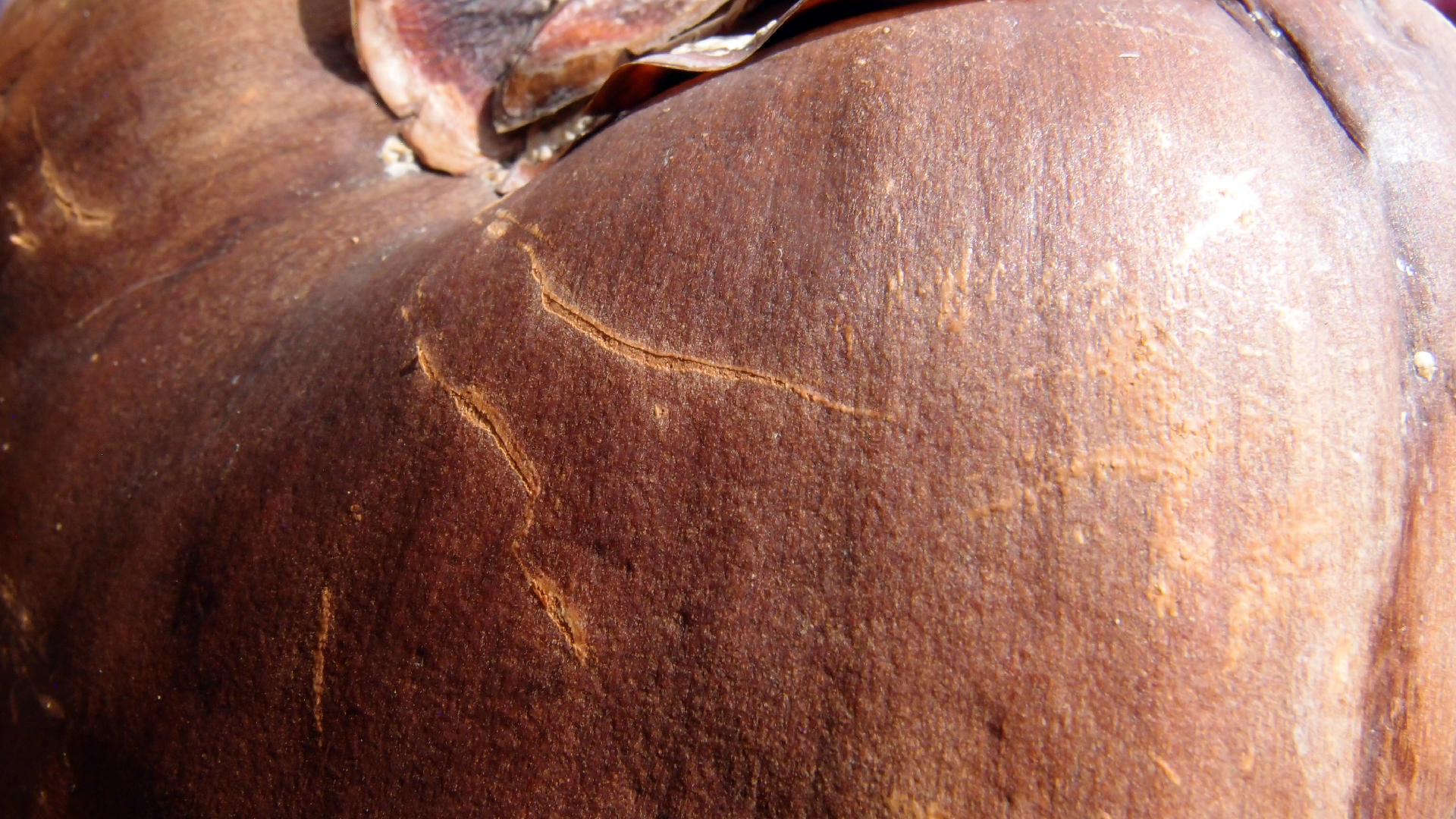 2022-04-17 Wind auf dem Meer (Audio, Foto, Video)