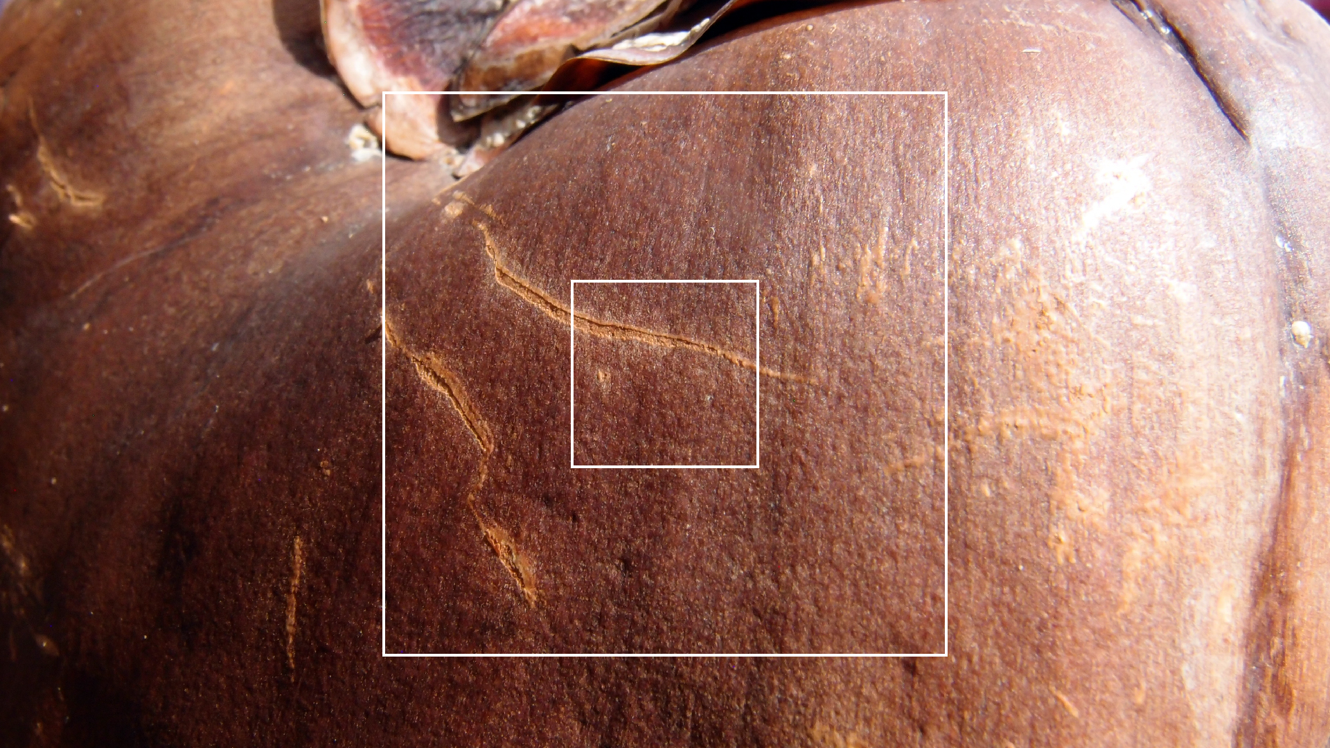 2022-04-17 Wind auf dem Meer (Audio, Foto, Video)