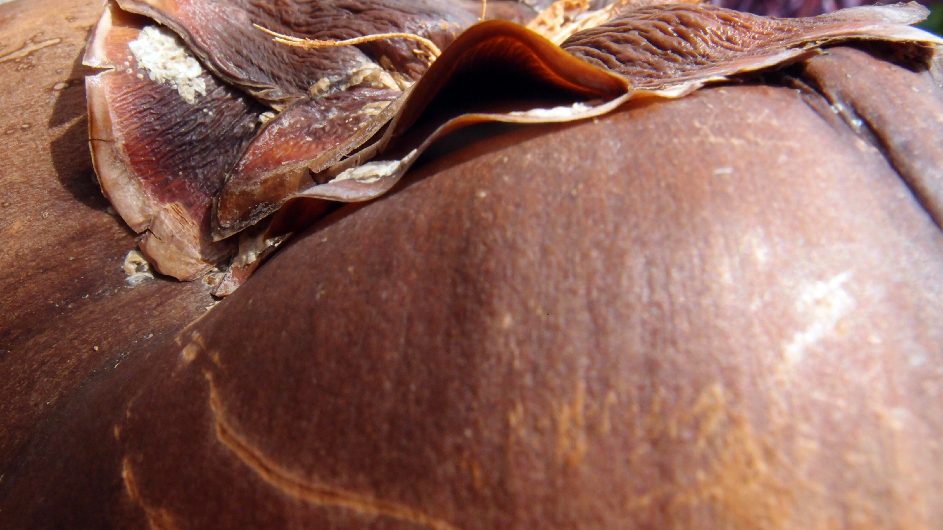 2022-04-17 Wind auf dem Meer (Audio, Foto, Video)