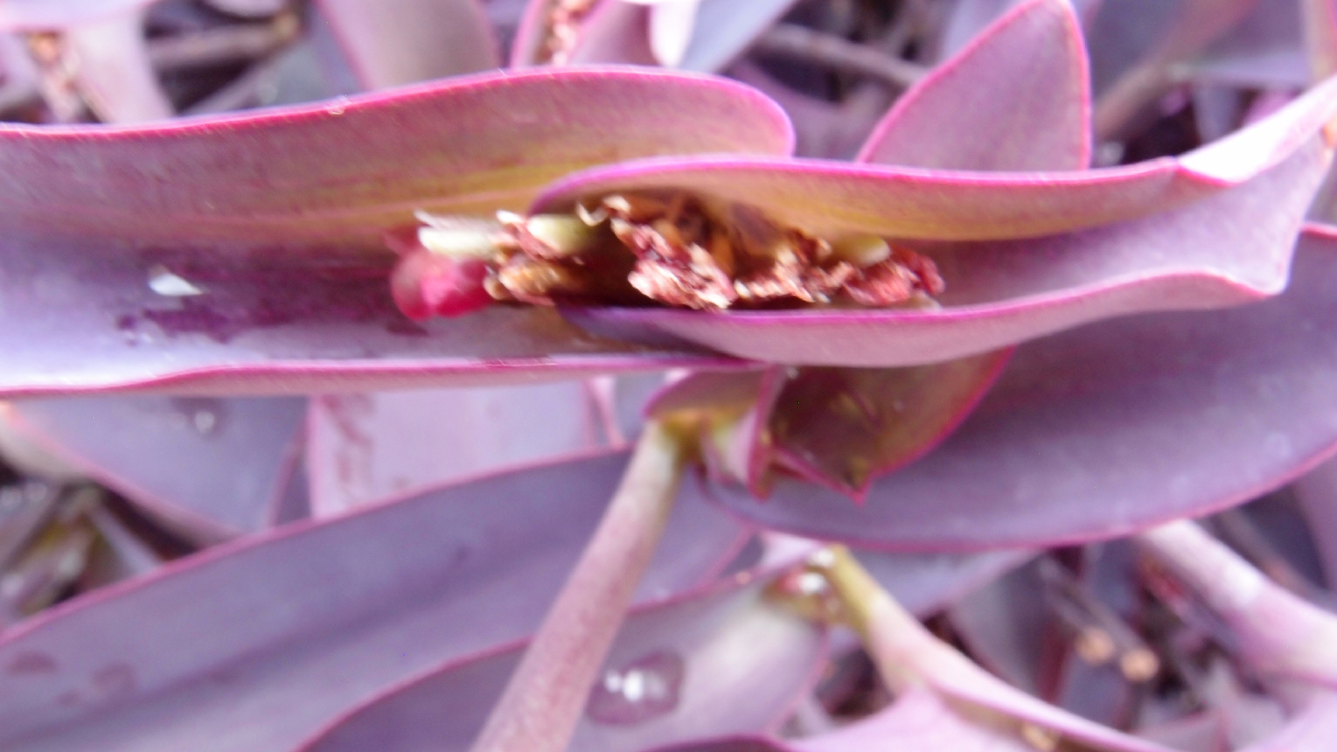 2022-04-17 Wind auf dem Meer (Audio, Foto, Video)