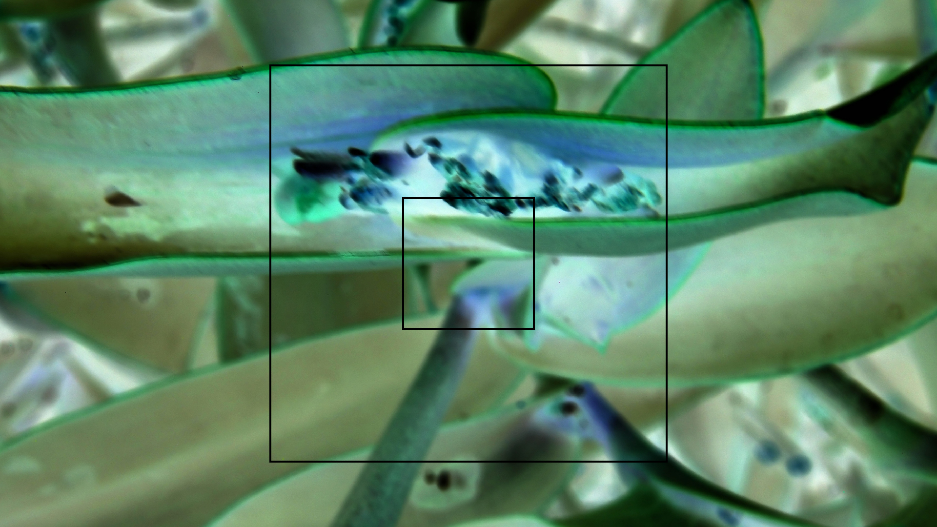 2022-04-17 Wind auf dem Meer (Audio, Foto, Video)