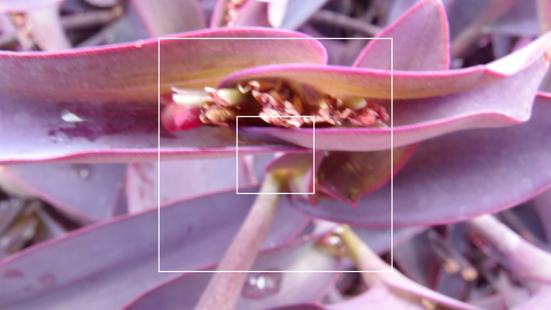 2022-04-17 Wind auf dem Meer (Audio, Foto, Video)