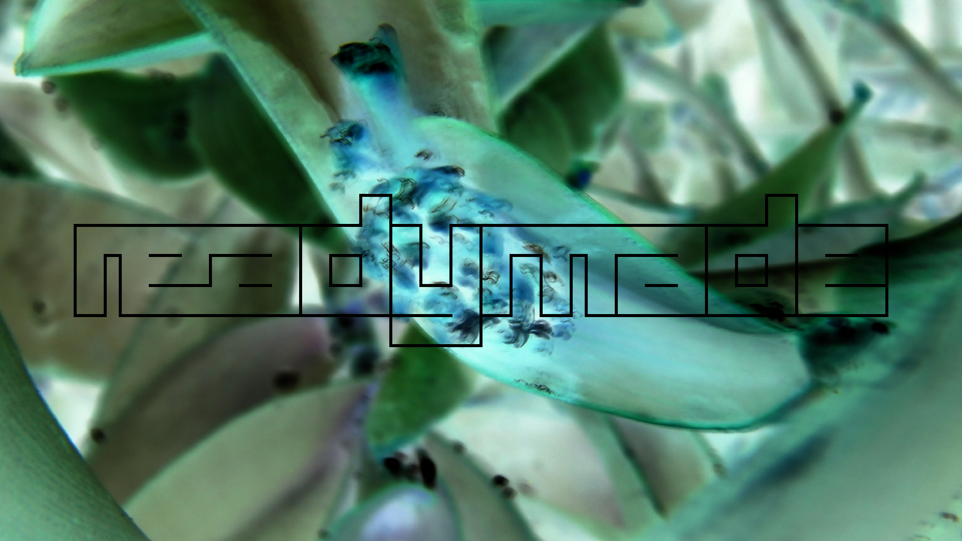 2022-04-17 Wind auf dem Meer (Audio, Foto, Video)