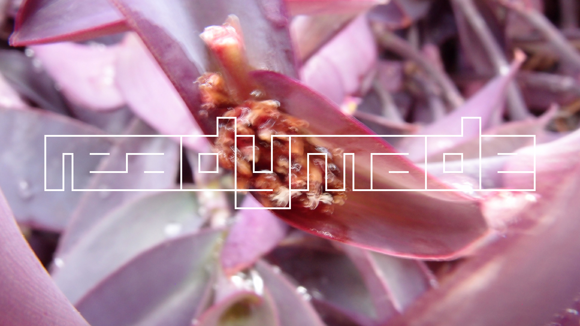 2022-04-17 Wind auf dem Meer (Audio, Foto, Video)