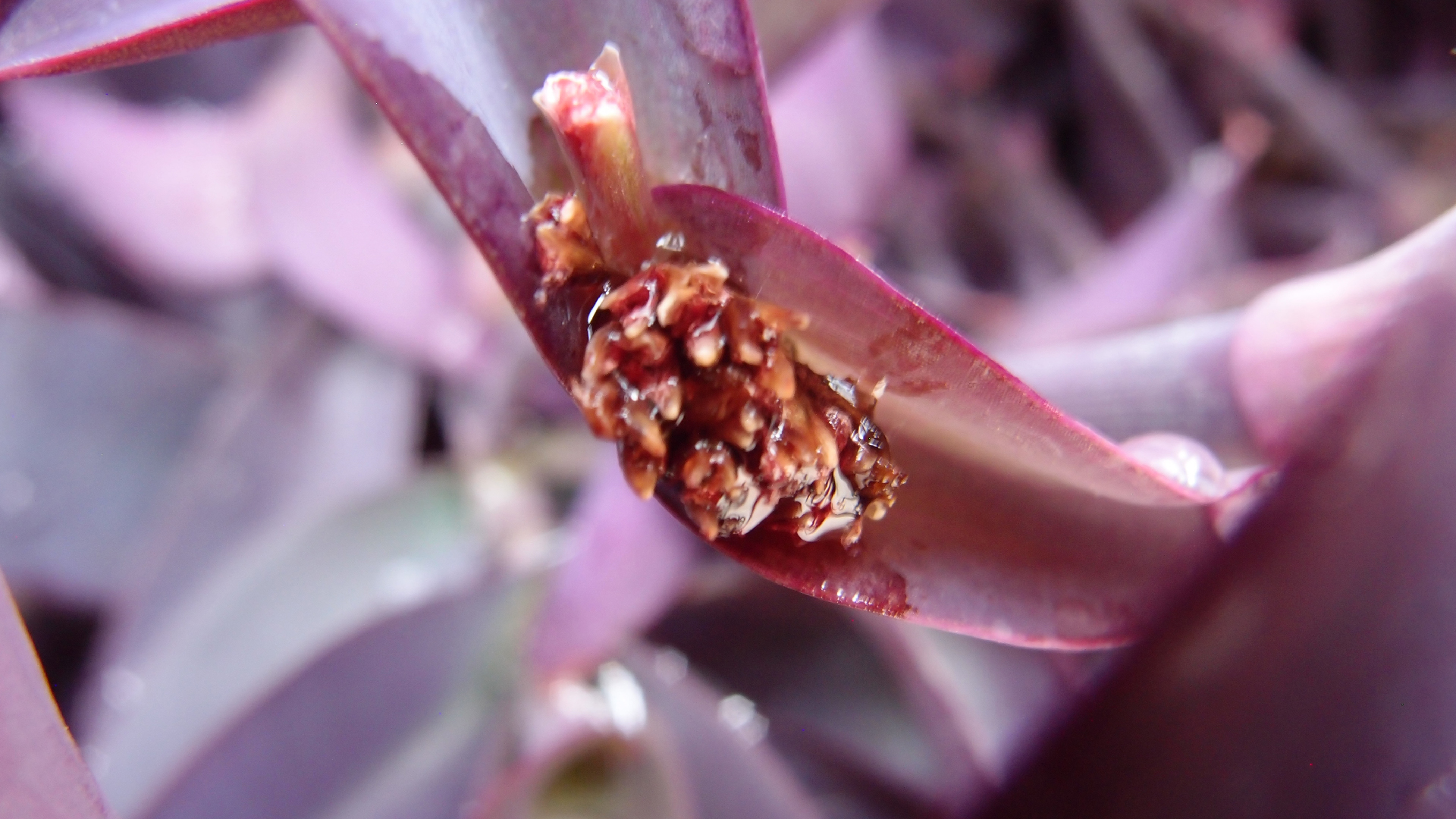 2022-04-17 Wind auf dem Meer (Audio, Foto, Video)