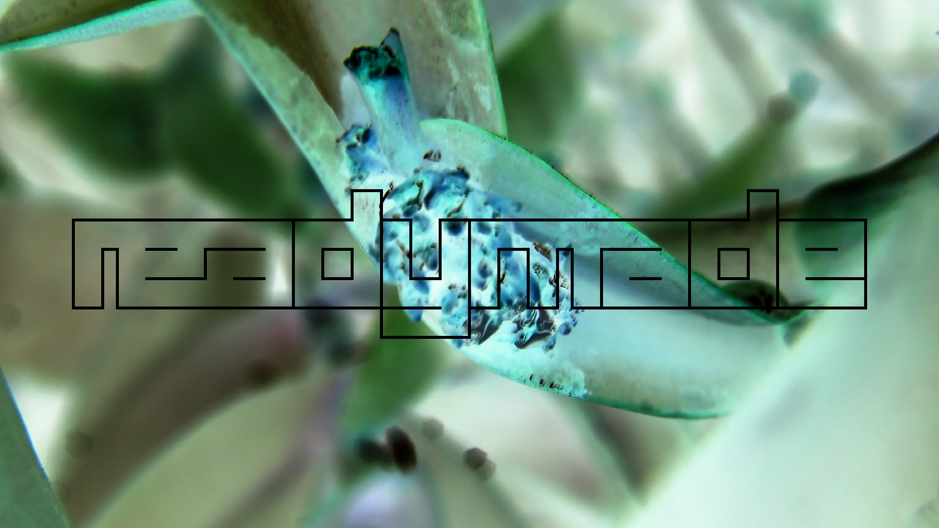 2022-04-17 Wind auf dem Meer (Audio, Foto, Video)