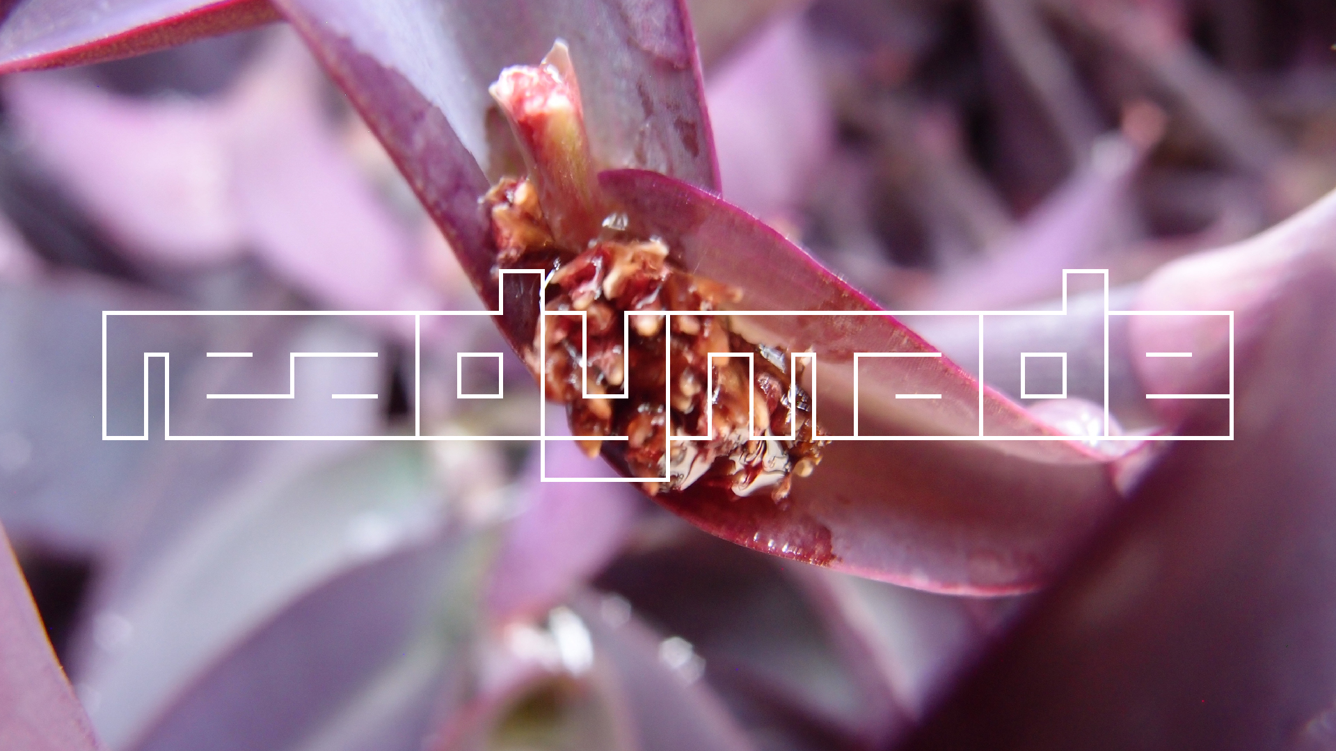 2022-04-17 Wind auf dem Meer (Audio, Foto, Video)