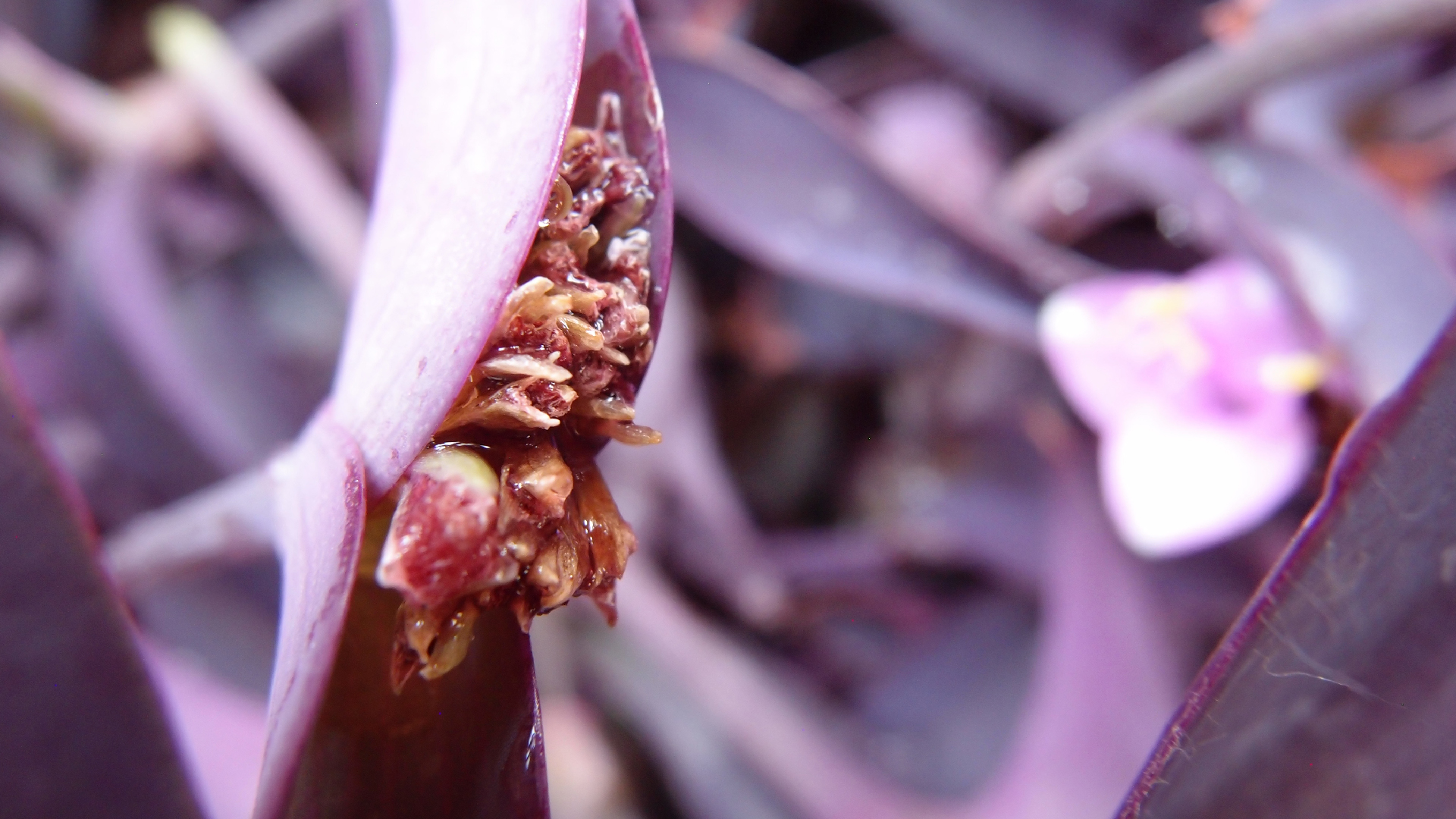 2022-04-17 Wind auf dem Meer (Audio, Foto, Video)