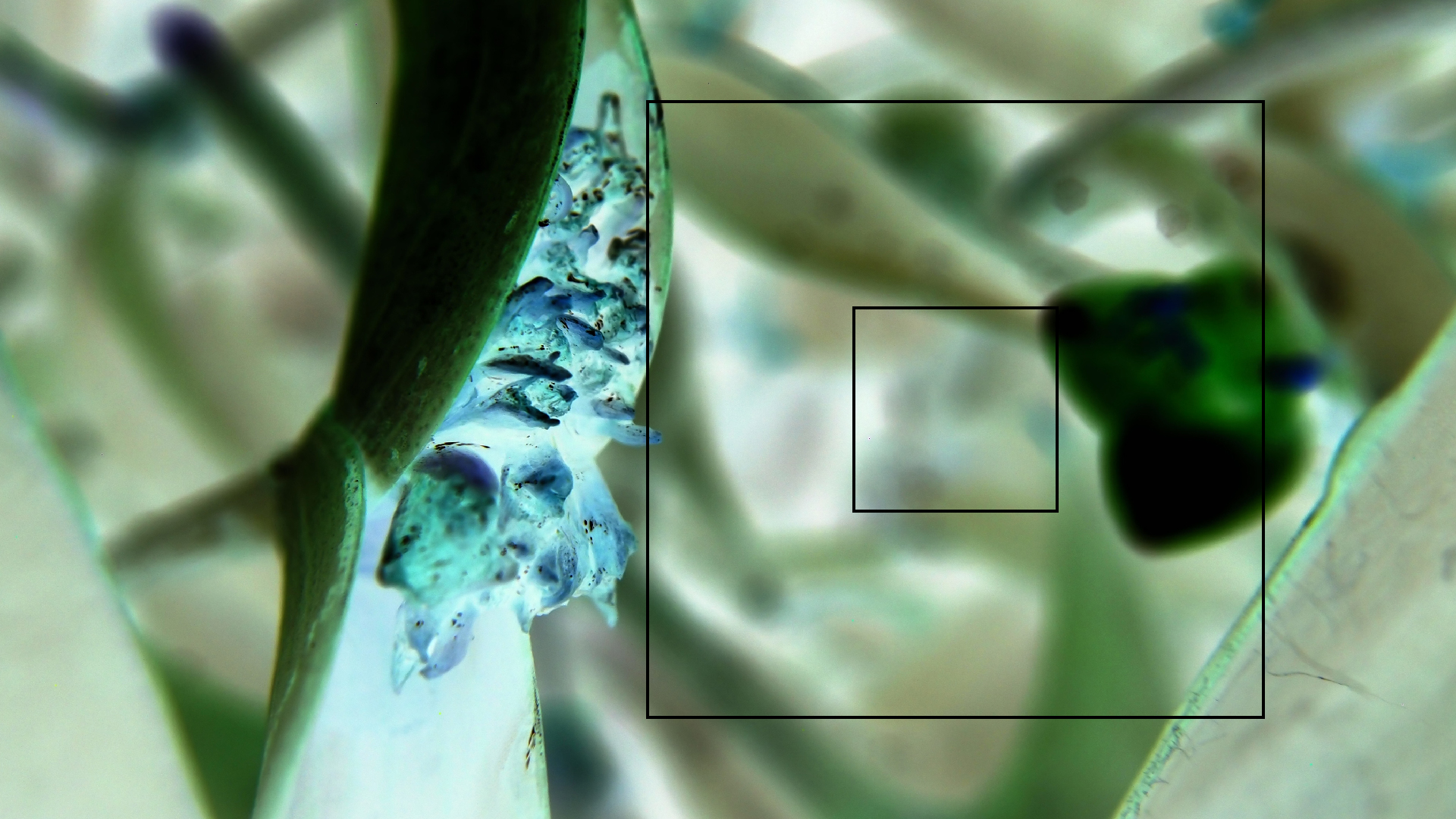 2022-04-17 Wind auf dem Meer (Audio, Foto, Video)