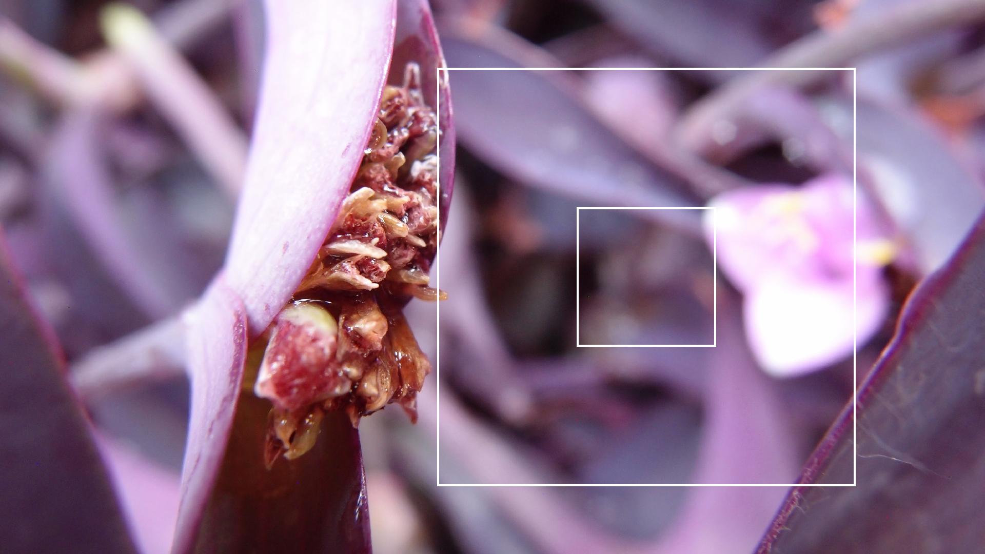 2022-04-17 Wind auf dem Meer (Audio, Foto, Video)