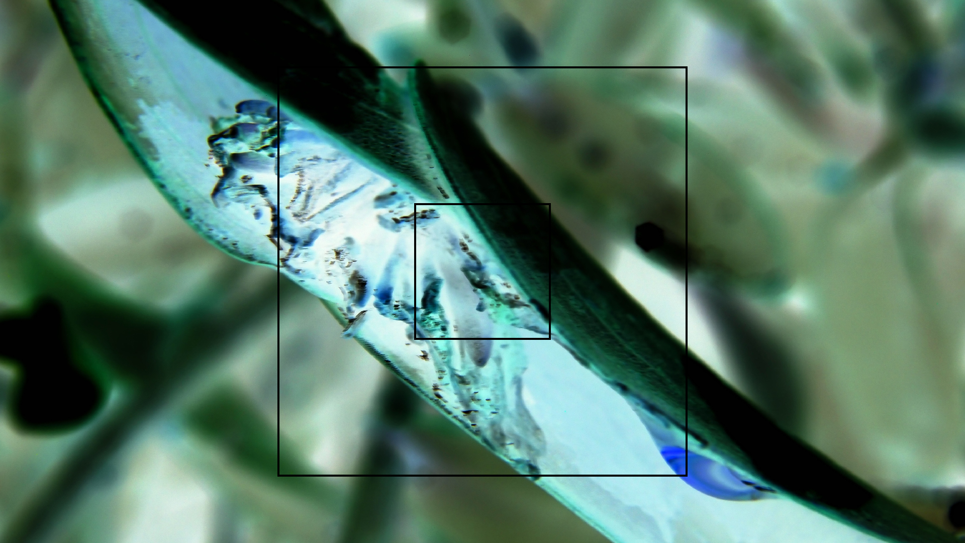 2022-04-17 Wind auf dem Meer (Audio, Foto, Video)