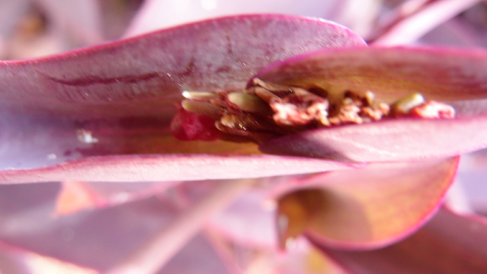 2022-04-17 Wind auf dem Meer (Audio, Foto, Video)