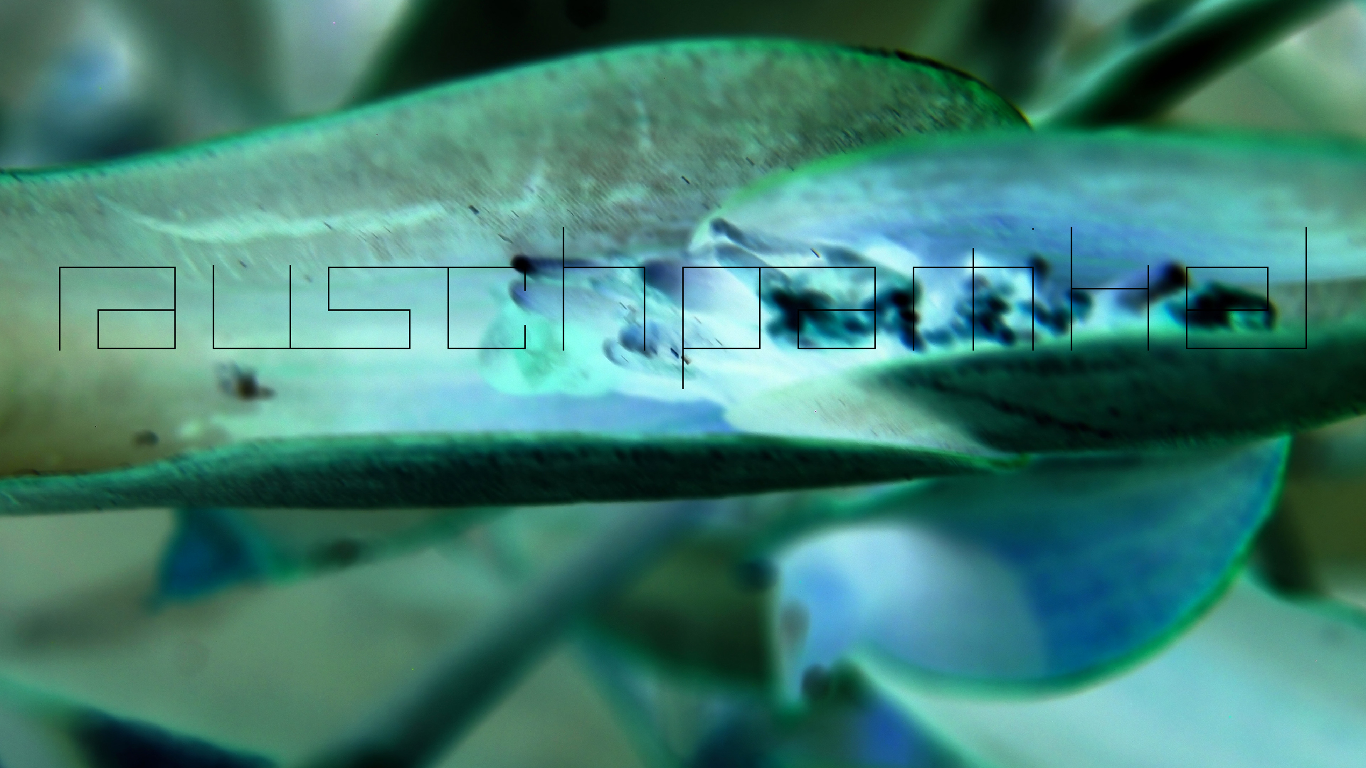 2022-04-17 Wind auf dem Meer (Audio, Foto, Video)