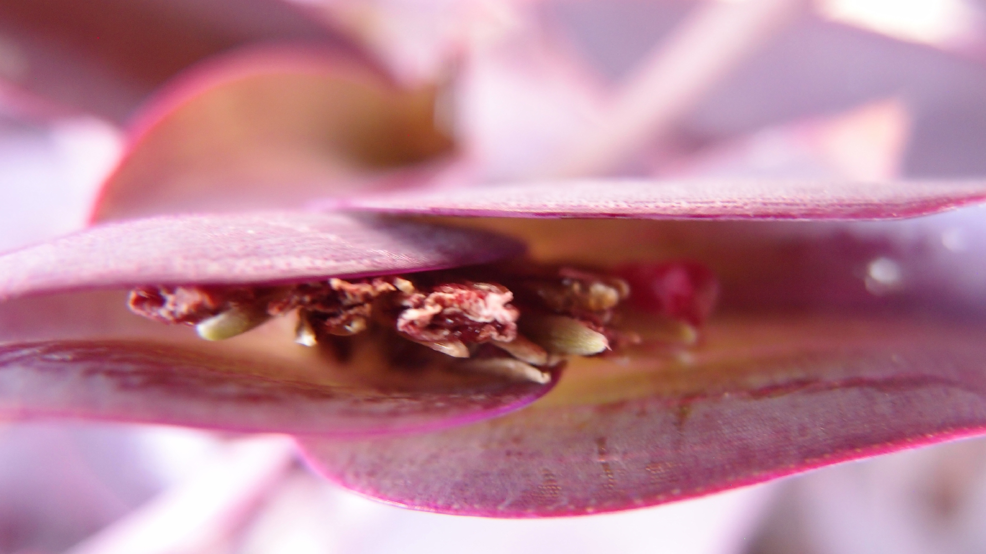 2022-04-17 Wind auf dem Meer (Audio, Foto, Video)