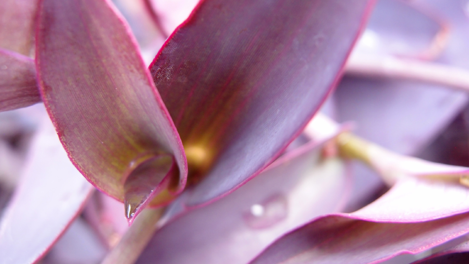 2022-04-17 Wind auf dem Meer (Audio, Foto, Video)